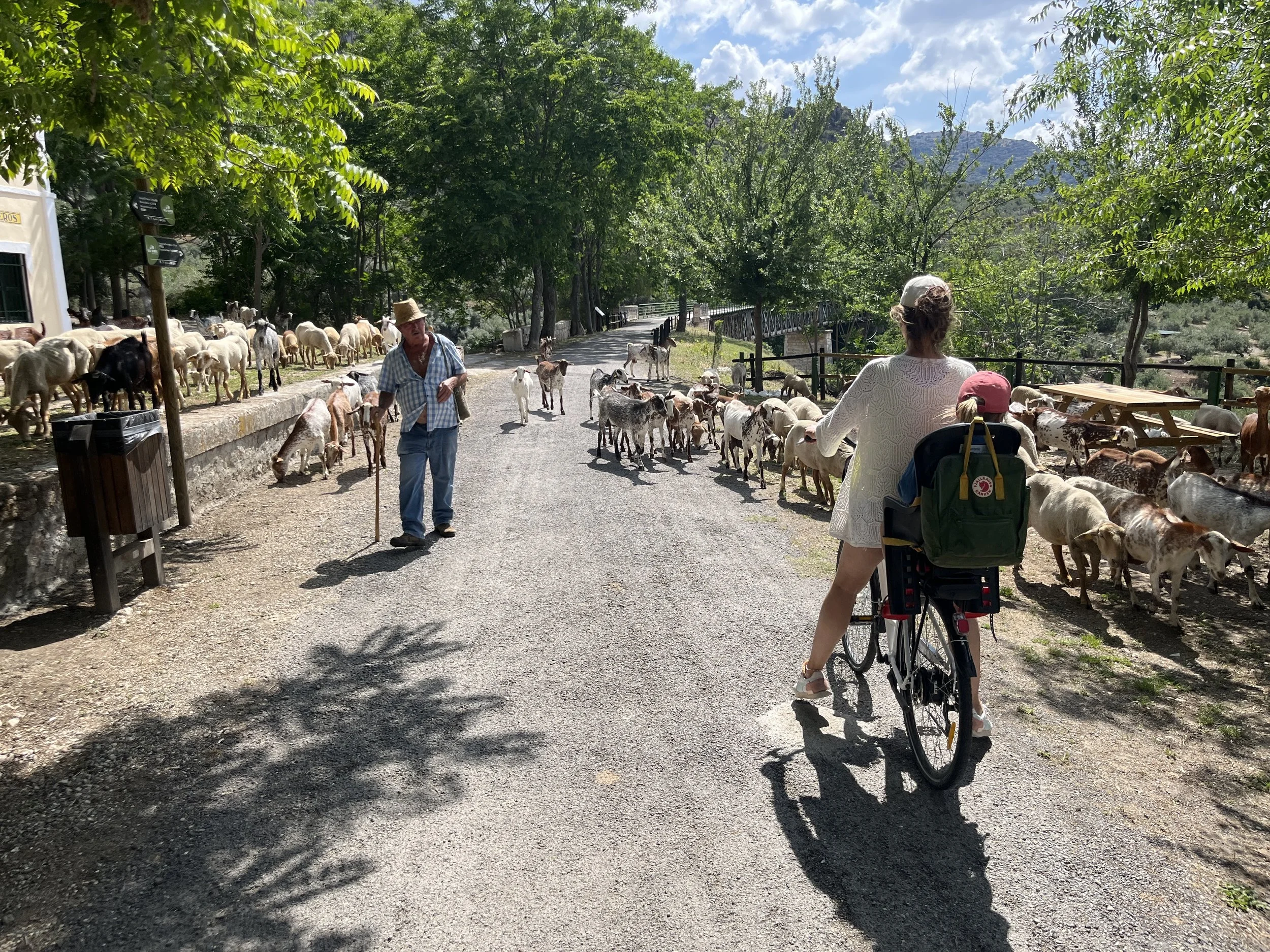 Fietsen door de witte dorpjes