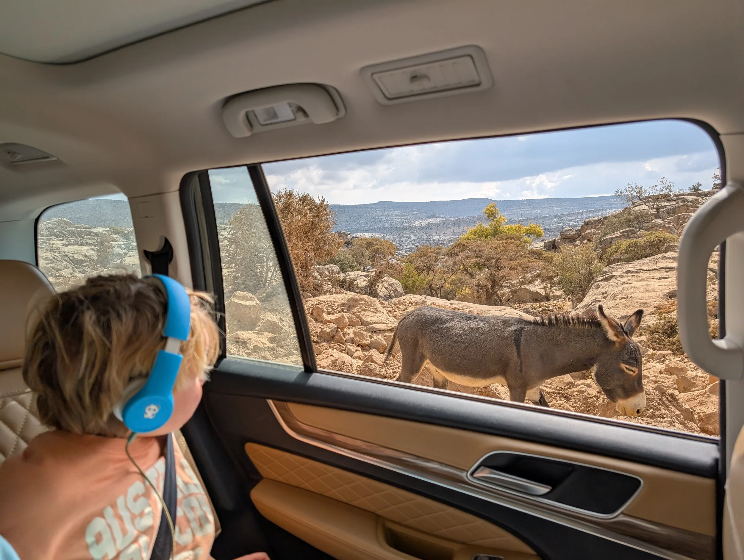 koptelefoon werkt top