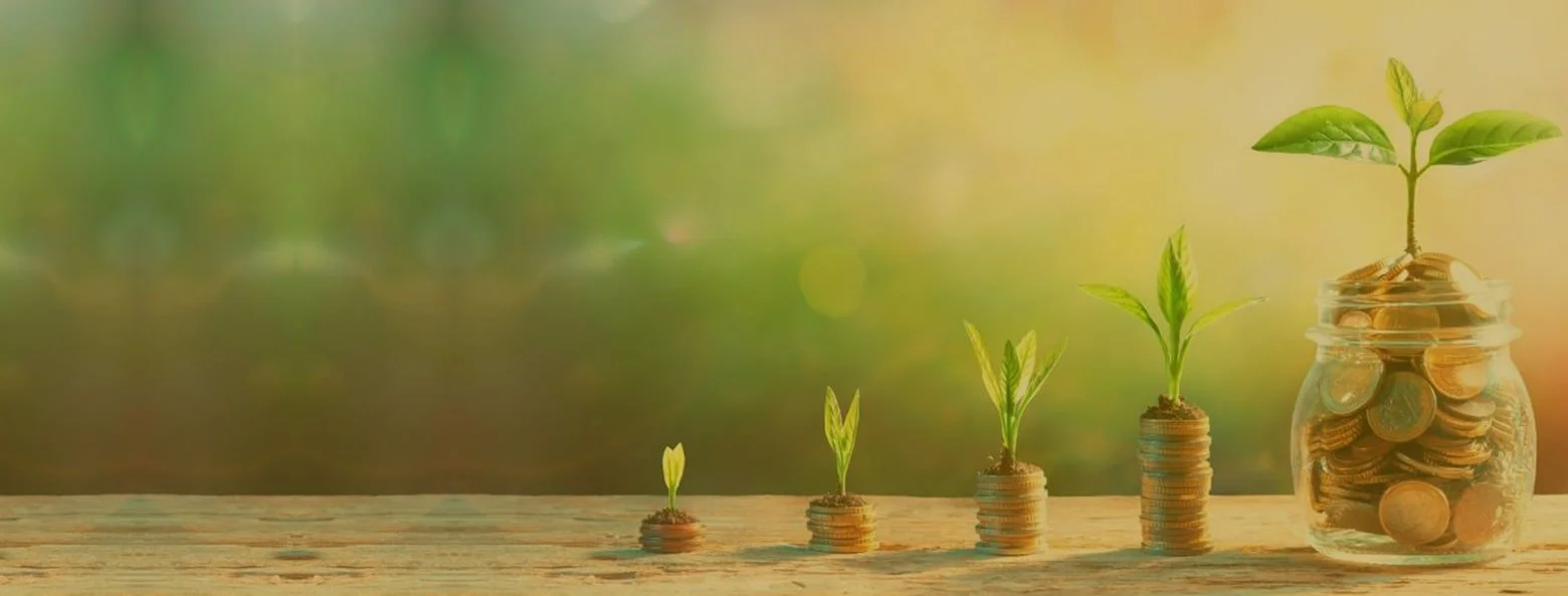 Financial Investment Advice - 5 Talents Financial Planning