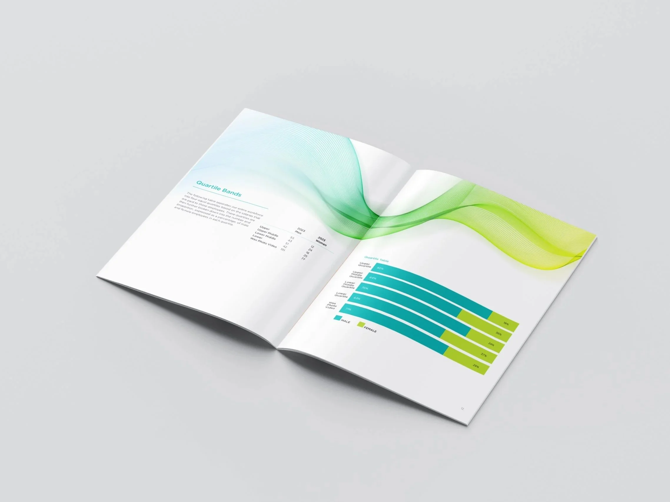 Gender Pay Gap Report DPS