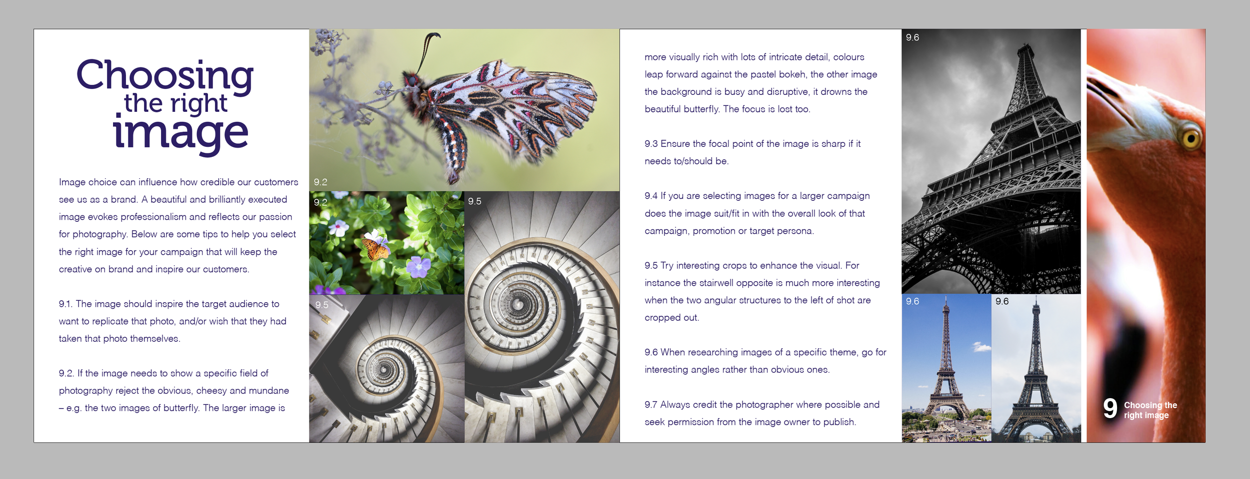 Selecting and cropping the right images