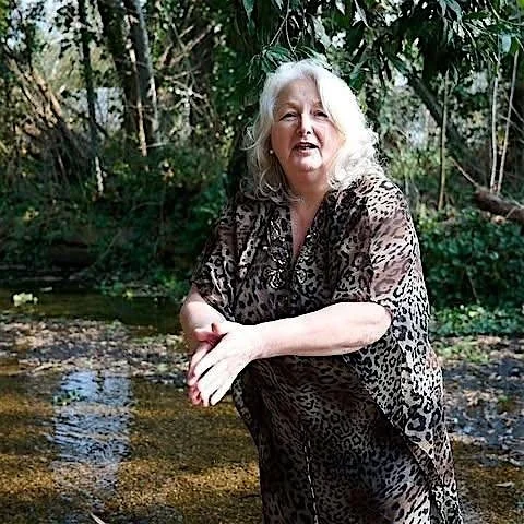 https___cdn.evbuc.com_images_1175388403_864129628383_1_original.jpg