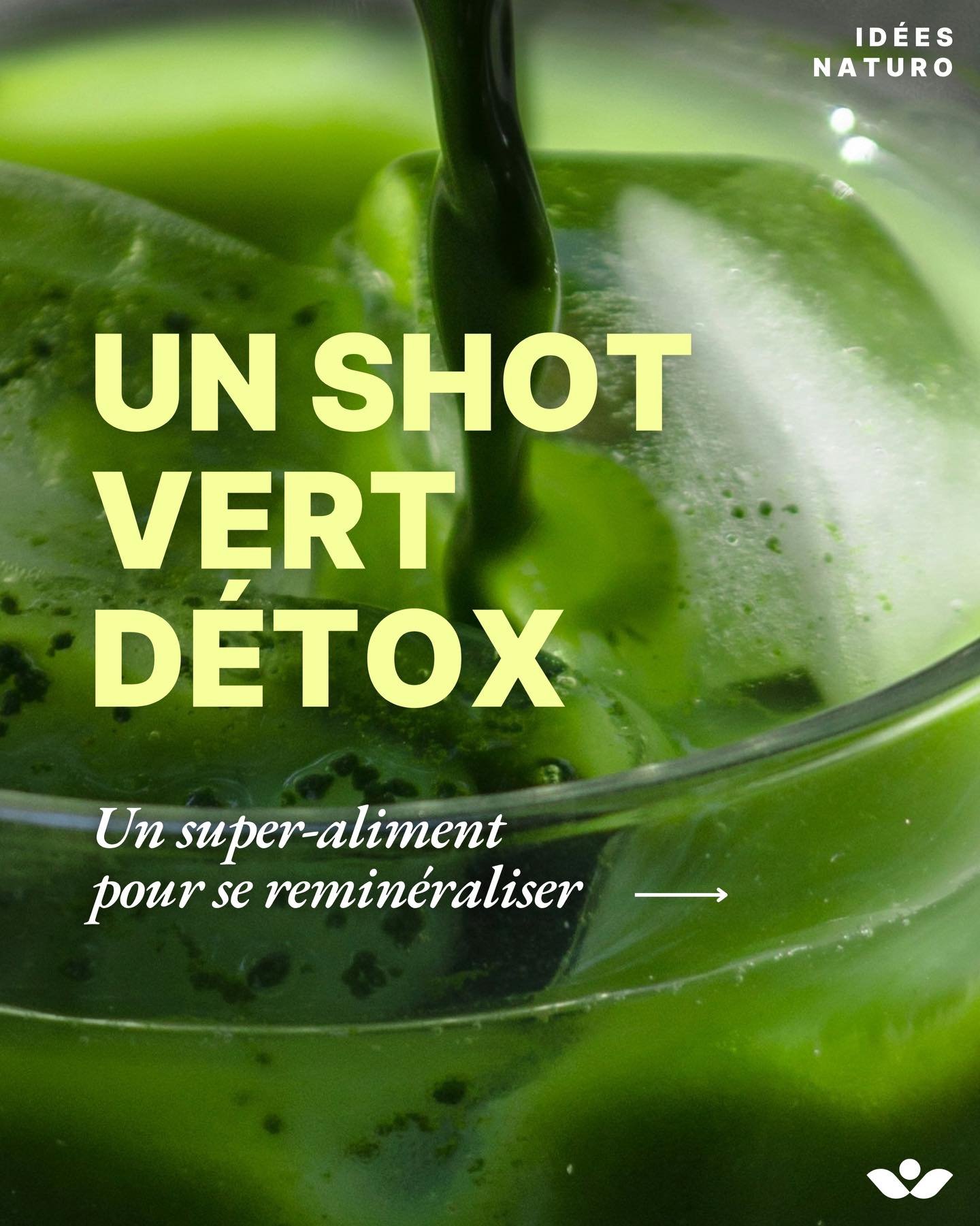 Si vous cherchez &agrave; d&eacute;marrer 2026 du bon pied, l&rsquo;herbe de bl&eacute; devrait vous plaire.

Aux vertus aussi surprenantes que puissantes, c&rsquo;est un super-aliment tr&egrave;s int&eacute;ressant pour soutenir notre organisme apr&