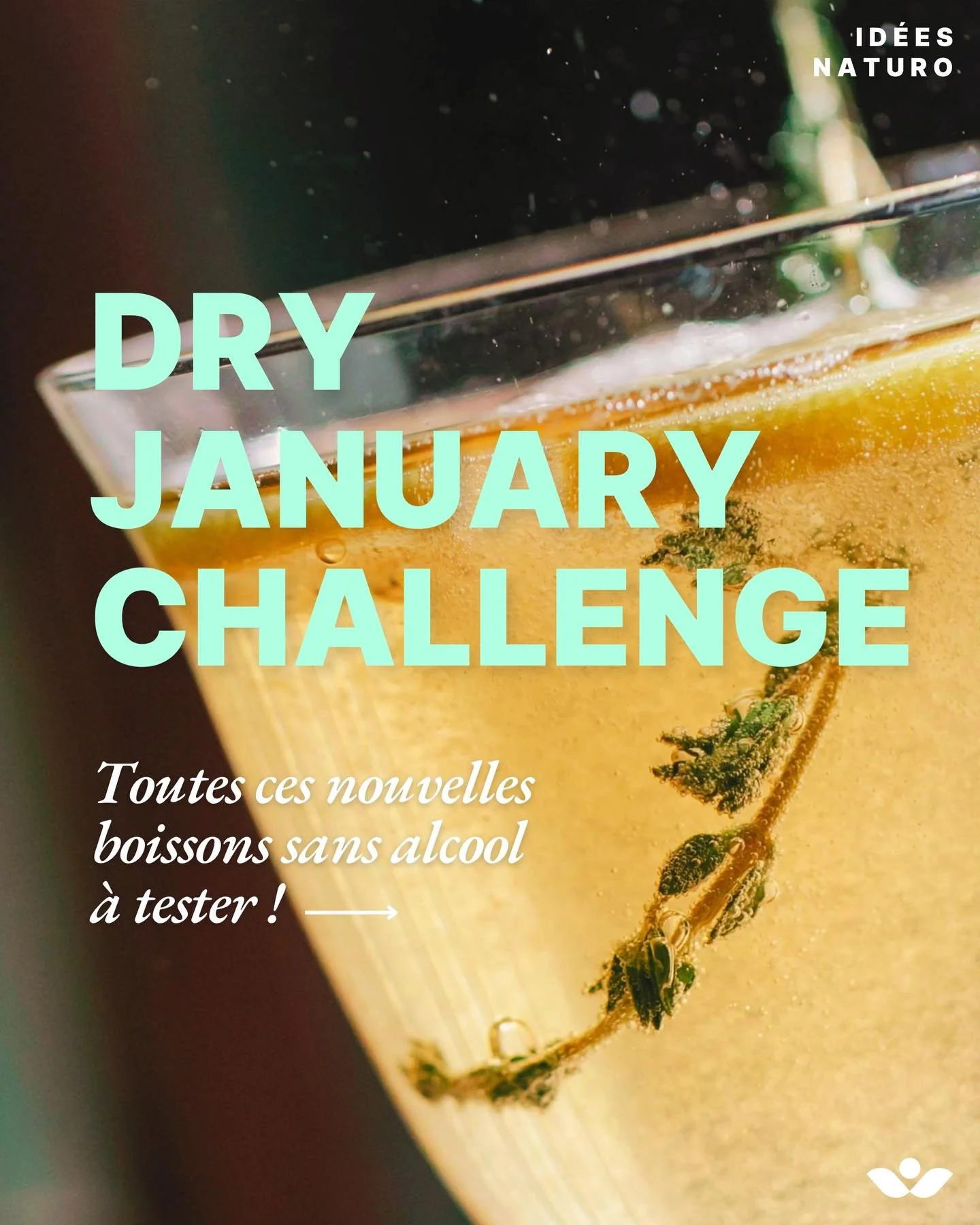 Dry January ? Voyez &ccedil;a comme une bonne nouvelle ! Outre sa dimension d&eacute;tox, c&rsquo;est aussi un bon moyen de tester d&rsquo;autres boissons que l&rsquo;on a moins l&rsquo;habitude de consommer.

Il existe plein de boissons saines et ra