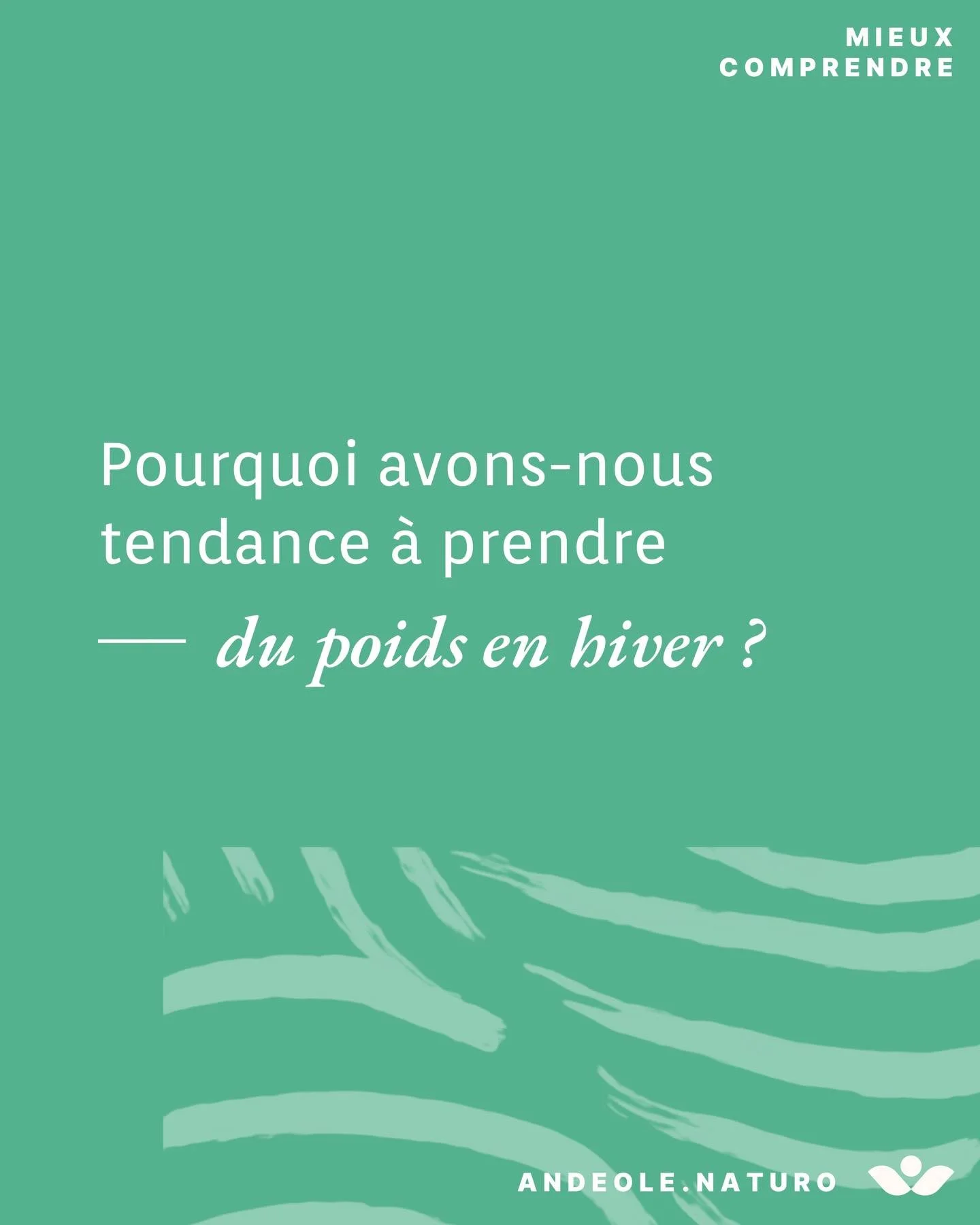 Arr&ecirc;tez de culpabiliser de prendre du poids en hiver ! Je vous explique en quoi c&rsquo;est logique et qu&rsquo;il est difficile de lutter contre si l&rsquo;on ne fait pas quelques ajustements. 

#naturopathie #nutrition #prisedepoids #hygiened