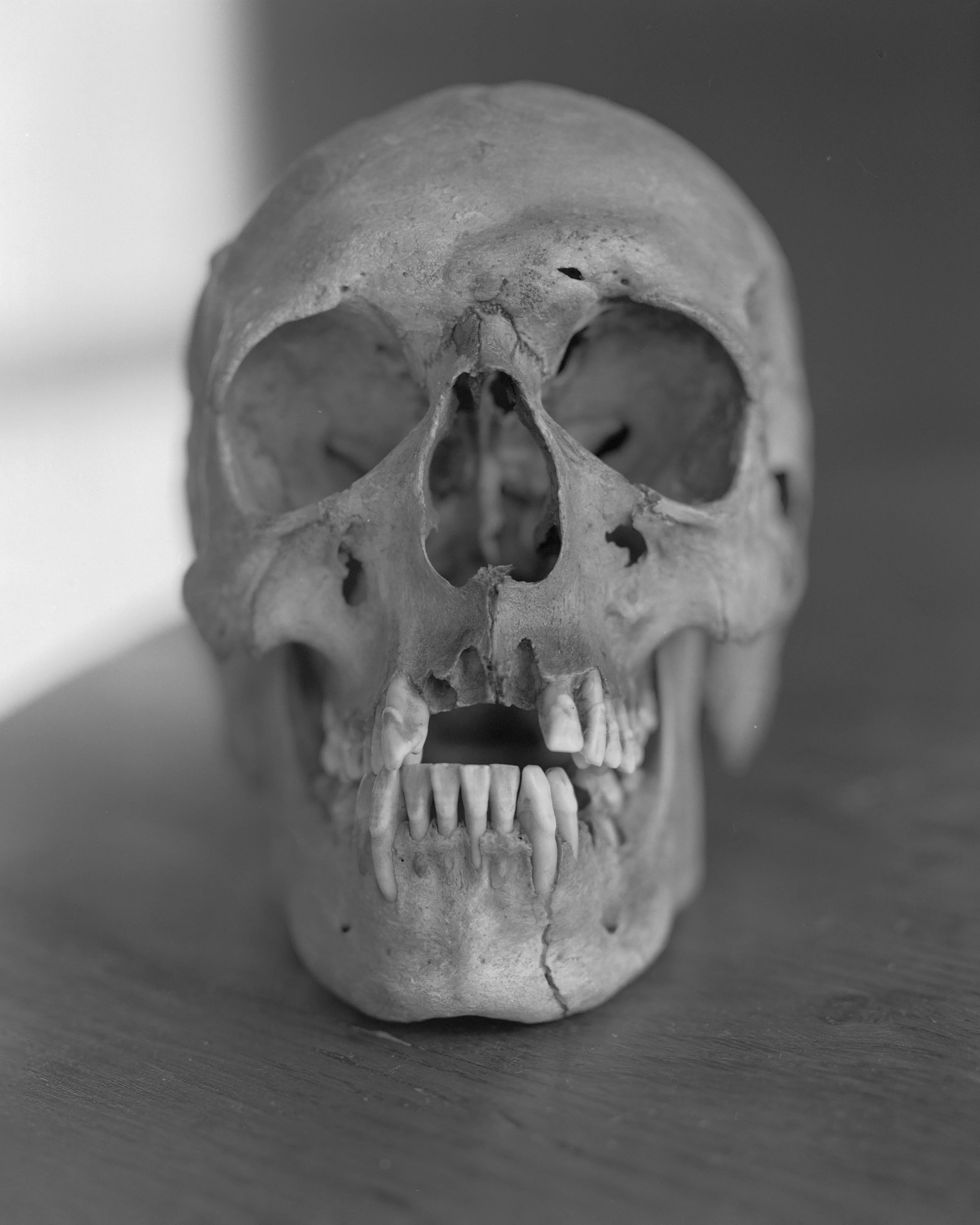 untitled-3.jpg