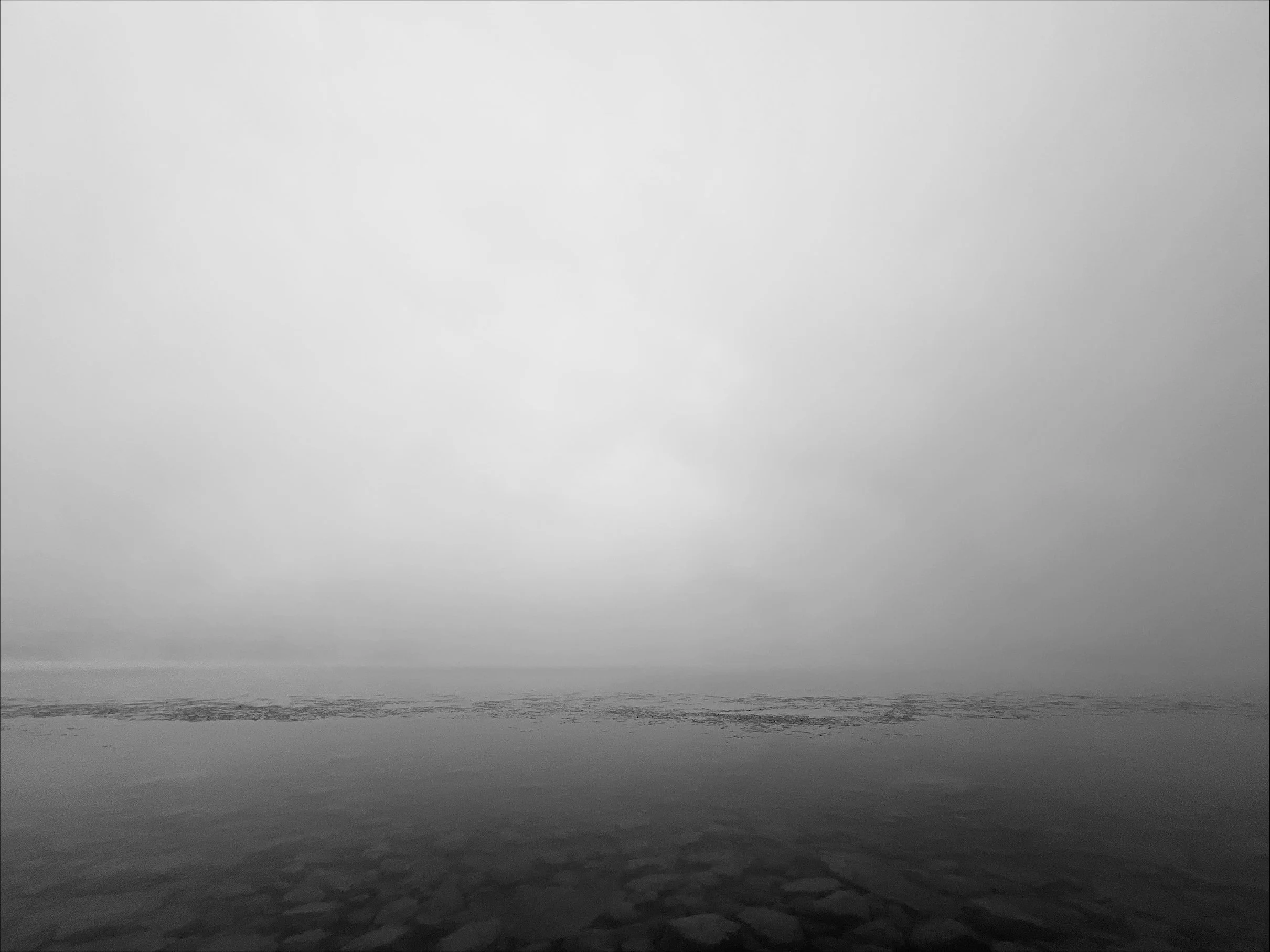 processed-93CC6682-3136-4B02-8EA6-8941F2E47F08.jpeg
