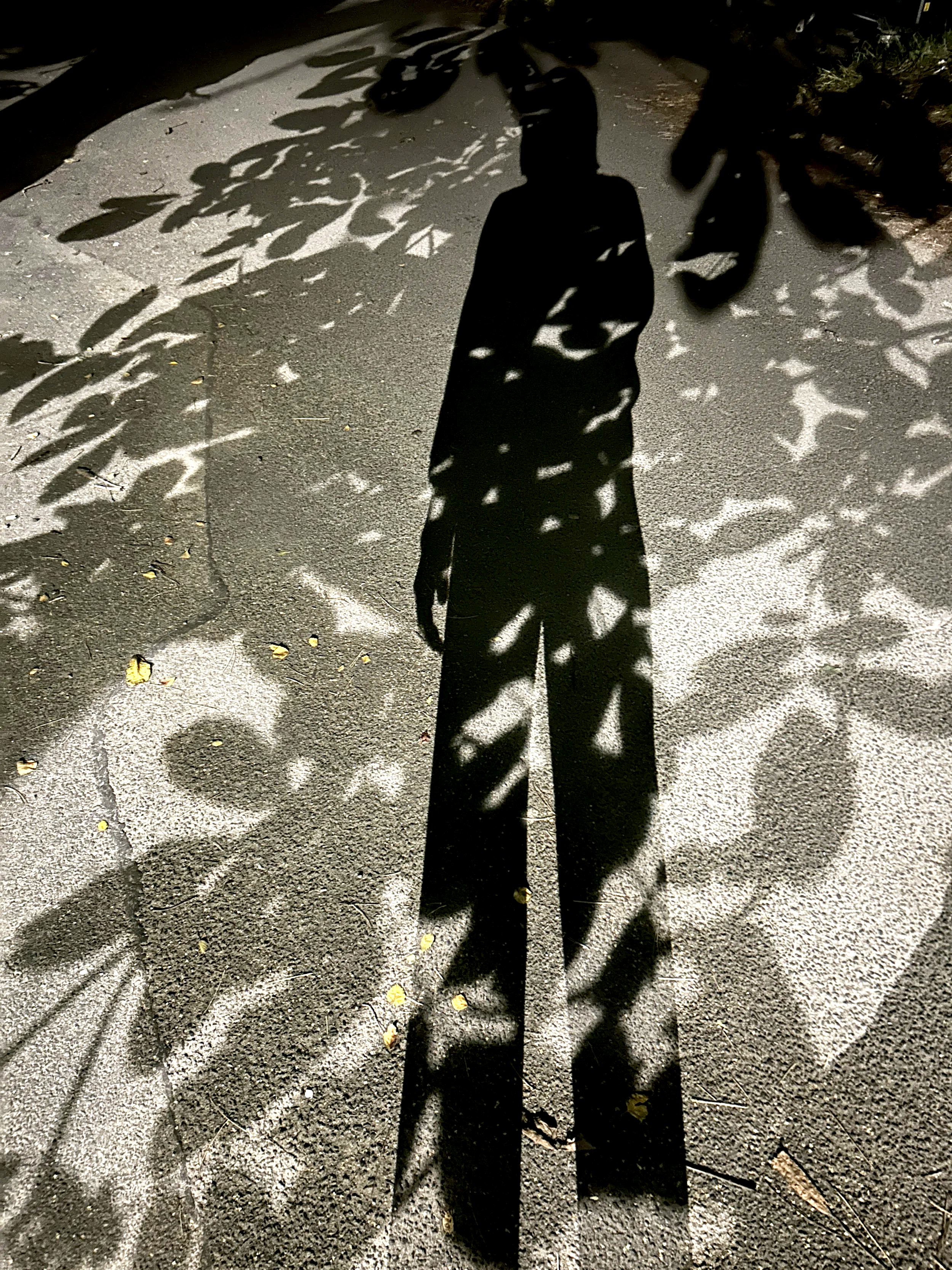 IMG_5919.png