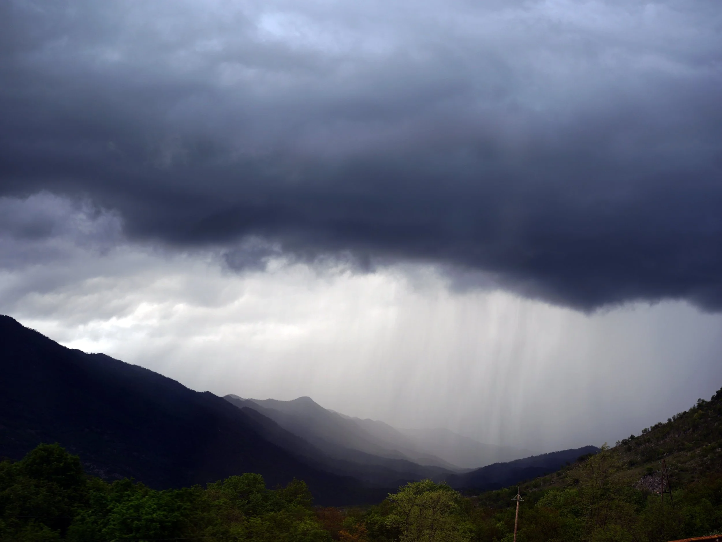 regen.jpg
