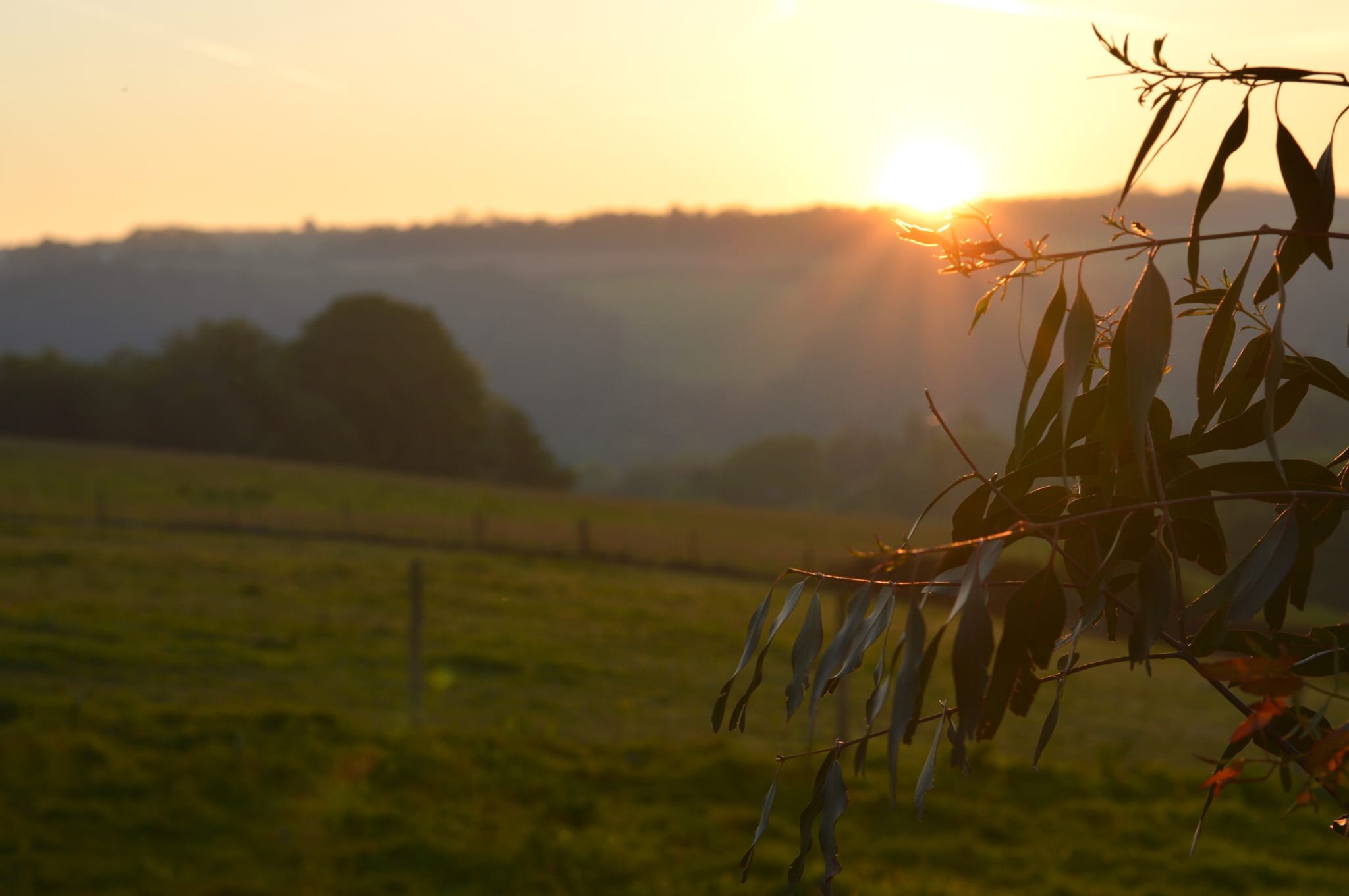 PHOTO-2024-05-20-08-54-18 2.jpg