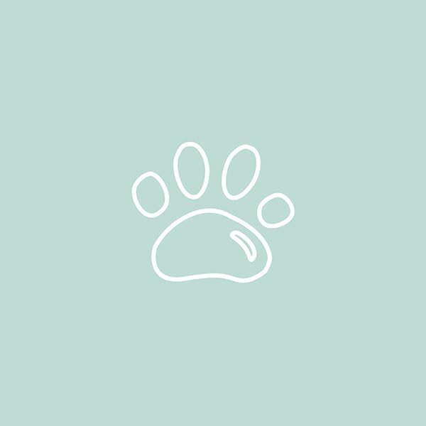 icon 2.jpg
