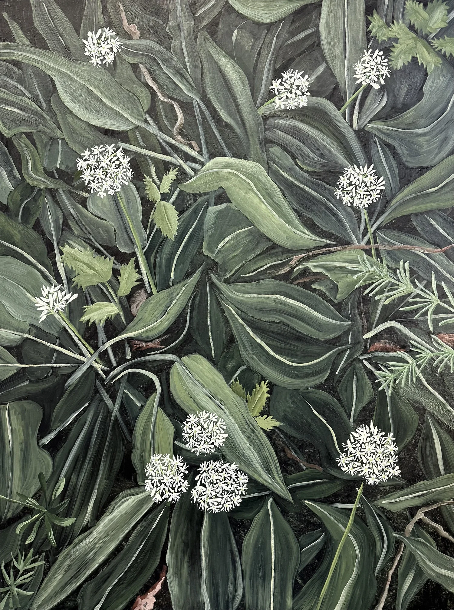 Wild Garlic