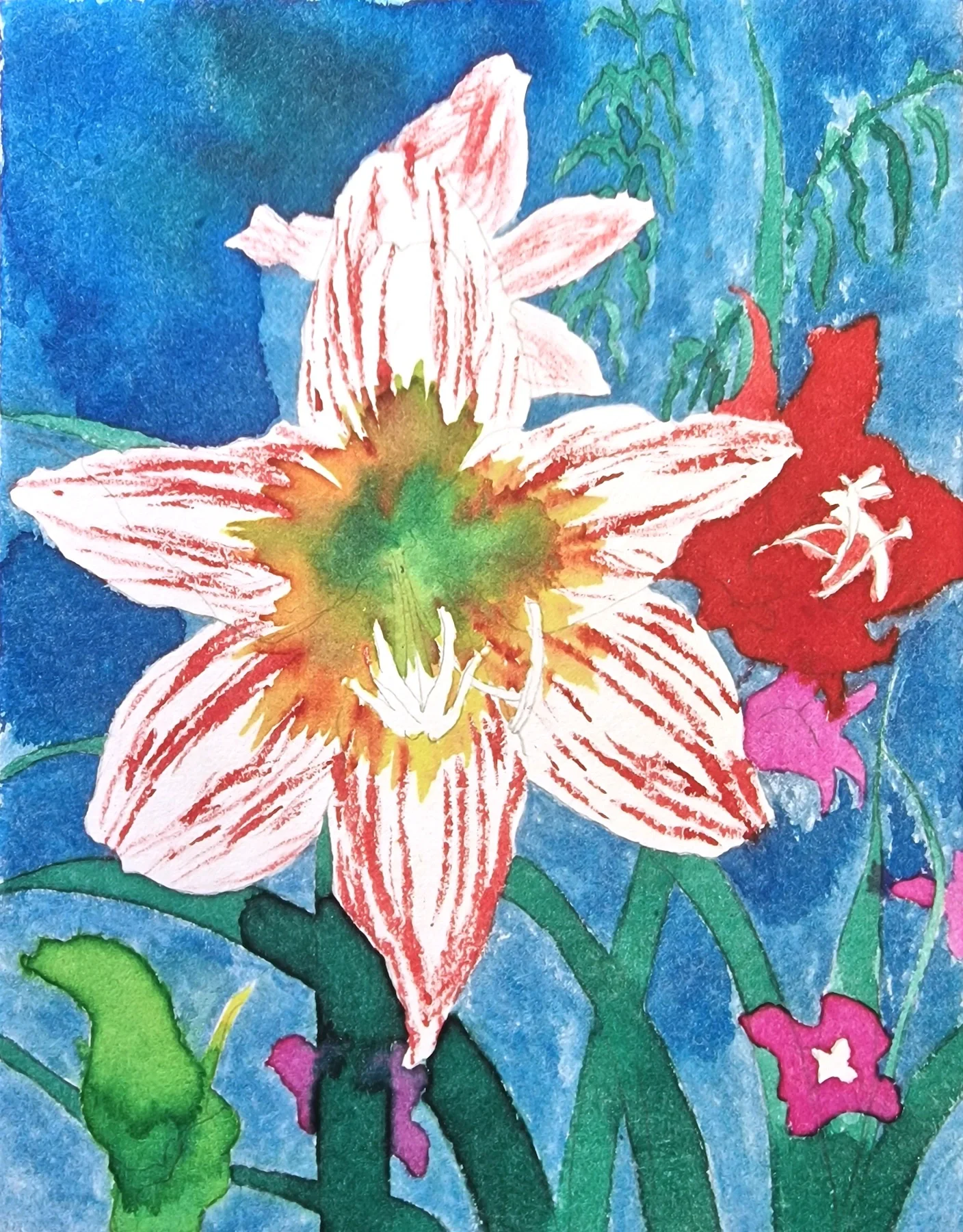 Ink on washi paper of an Amaryllis flower by Timothy Betjeman