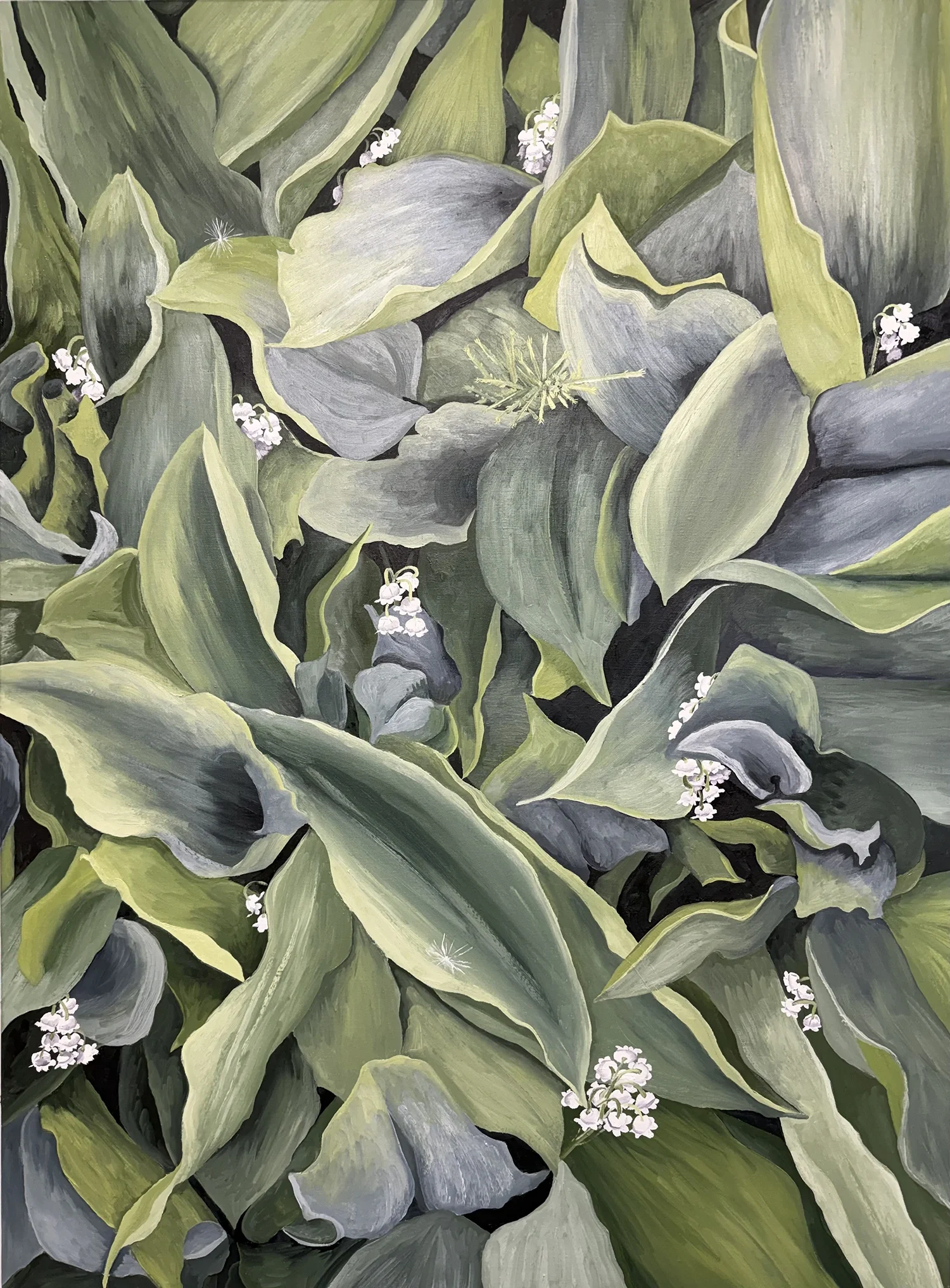 Lily