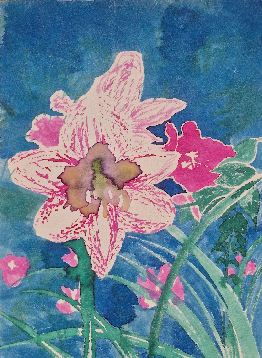 Ink on Japanese paper of an Amaryllis flower by Timothy Betjeman