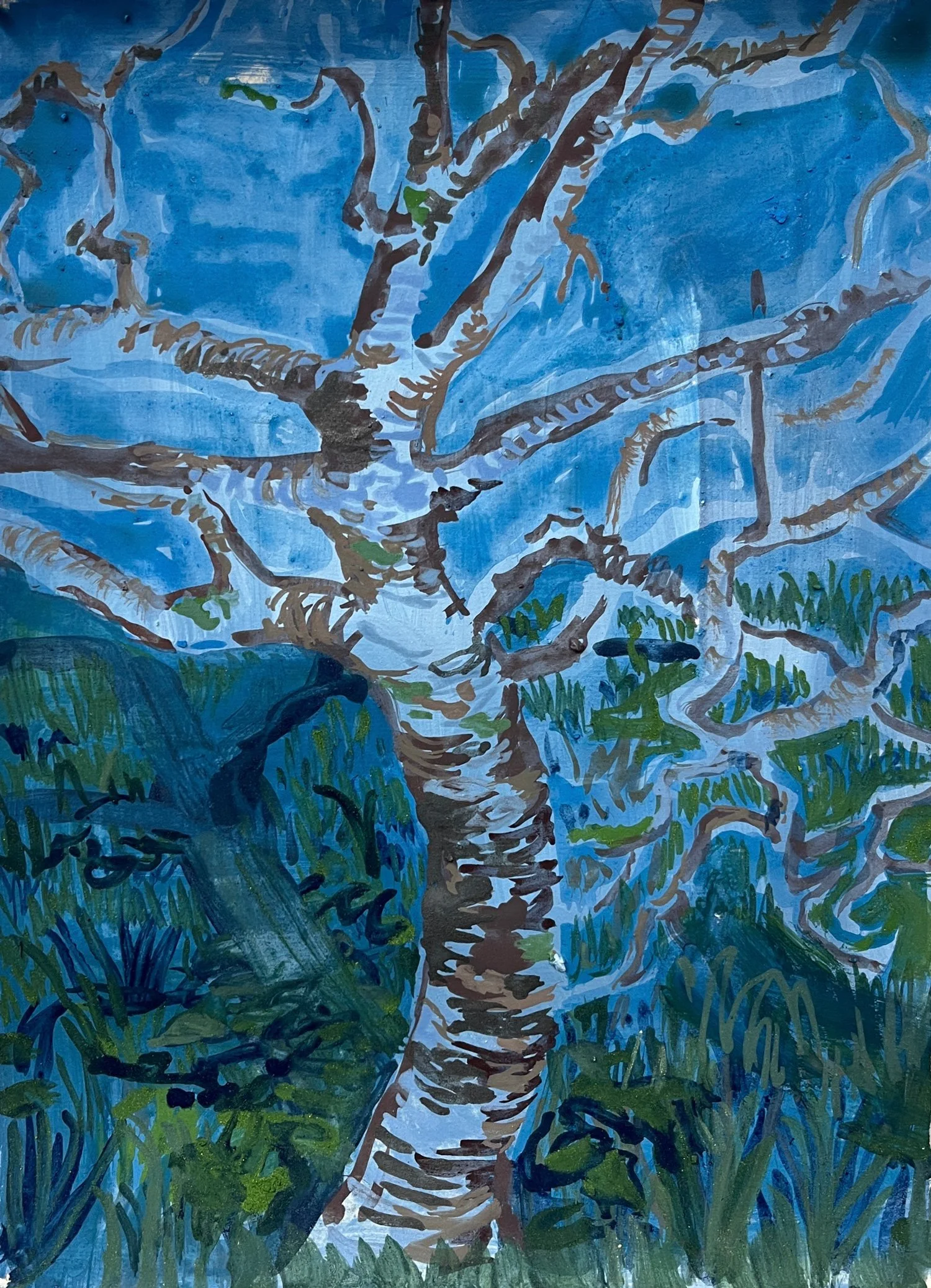 Alice Macdonald Laura Lopes Art