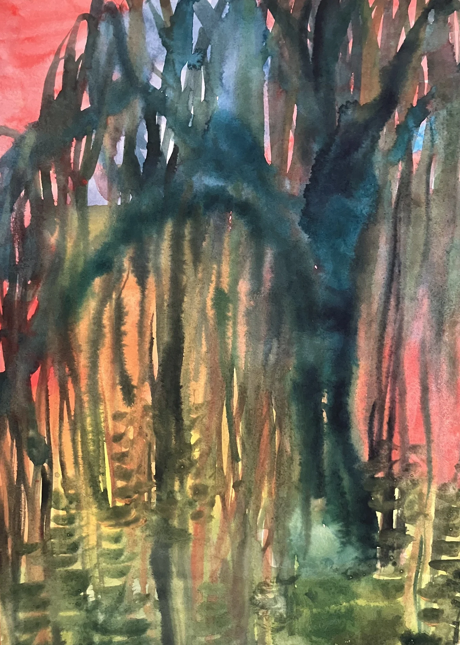 Willows I