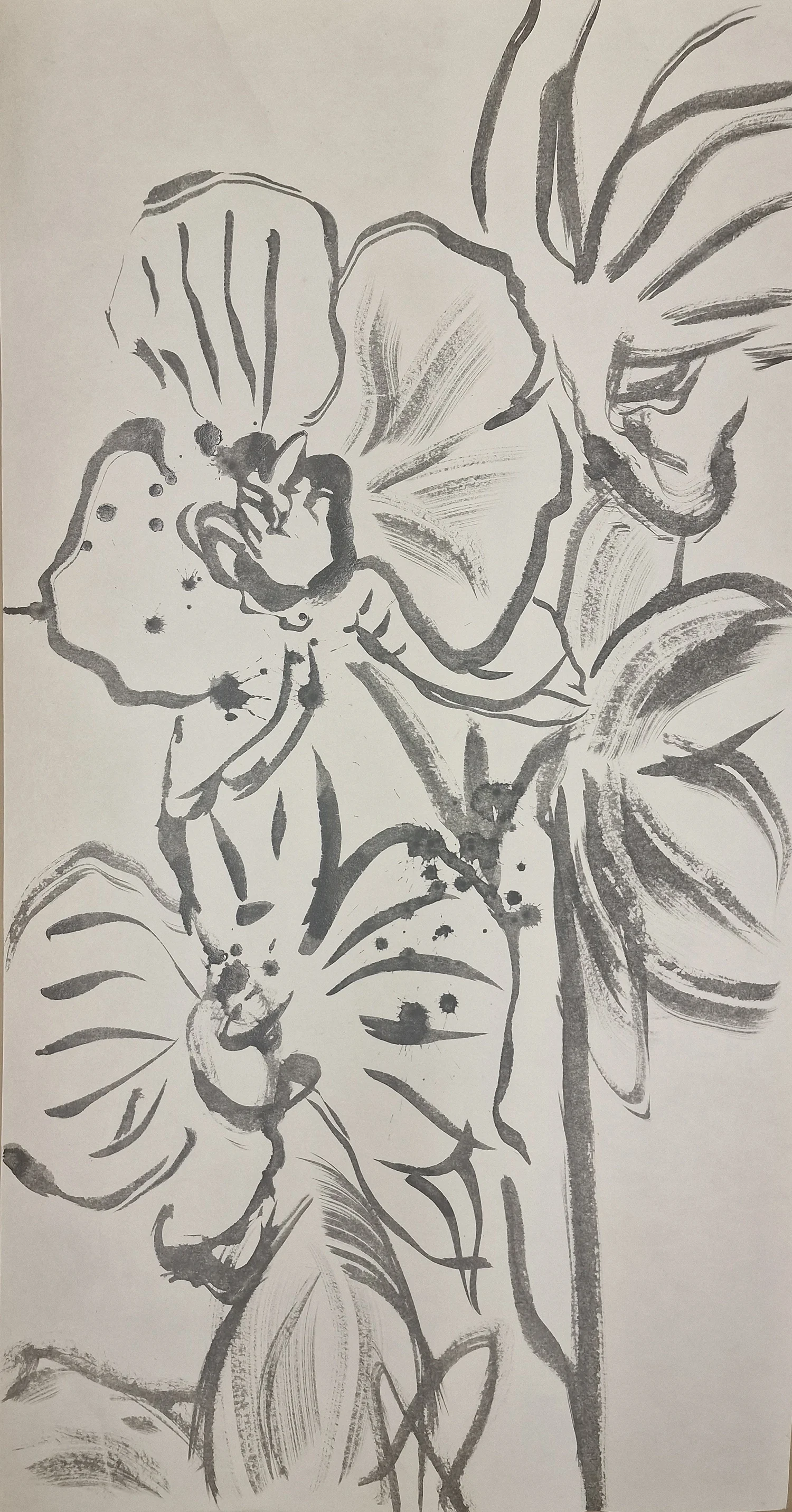 Original drawing of an Iris in ink by Timothy Betjeman