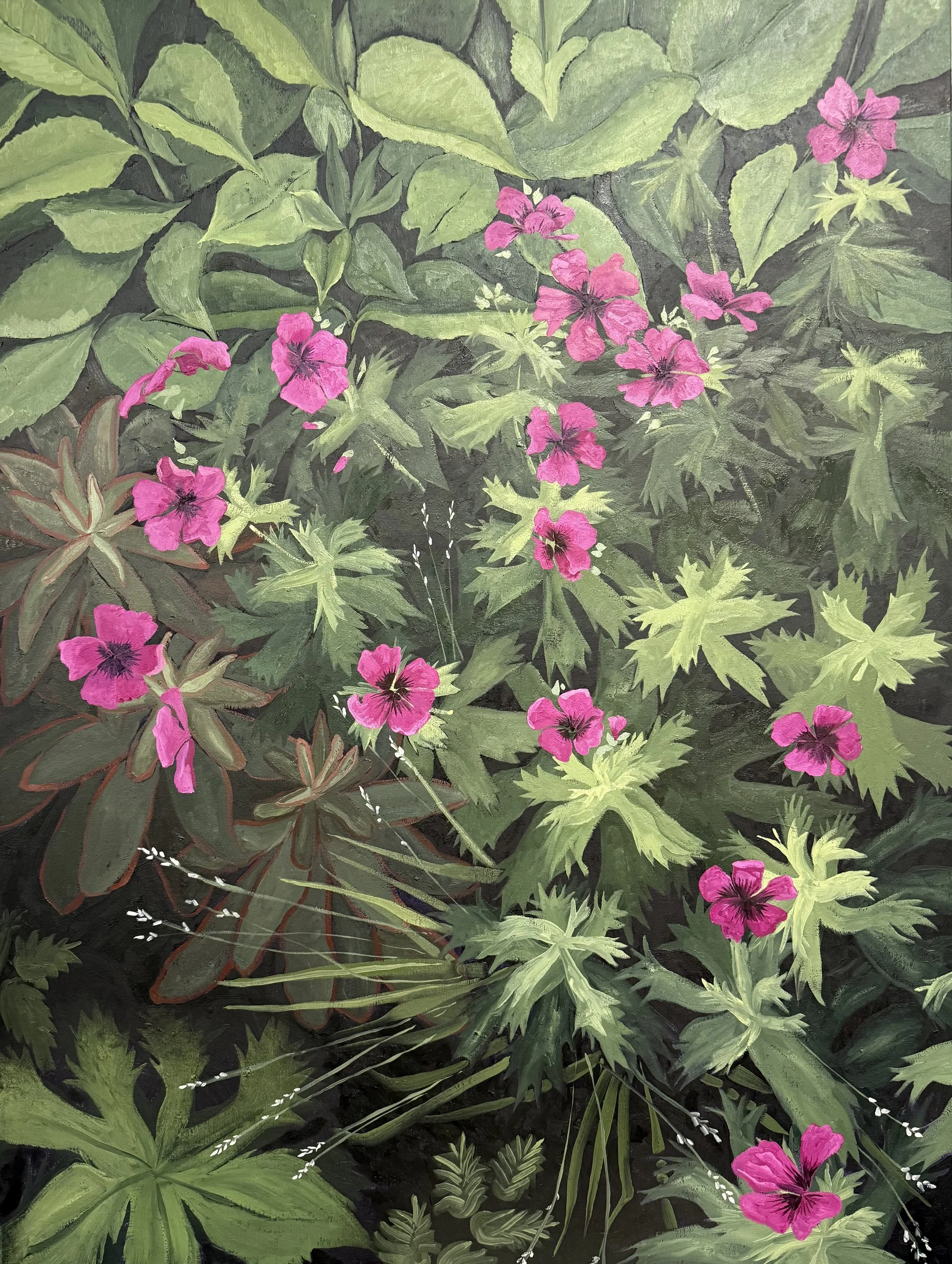 Untitled (Geraniums)