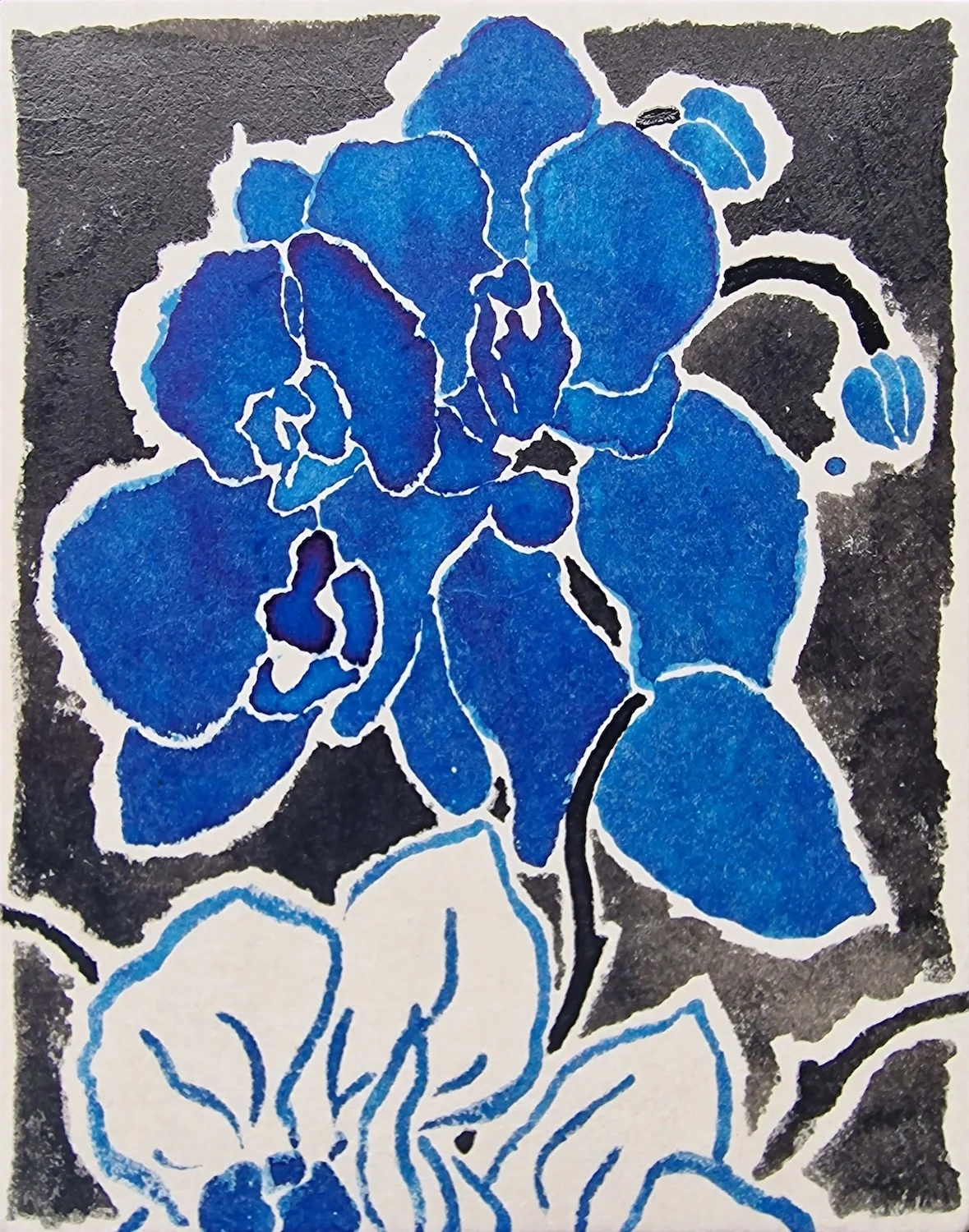 Ink on Japanese paper drawing of an orchid by Timothy Betjeman