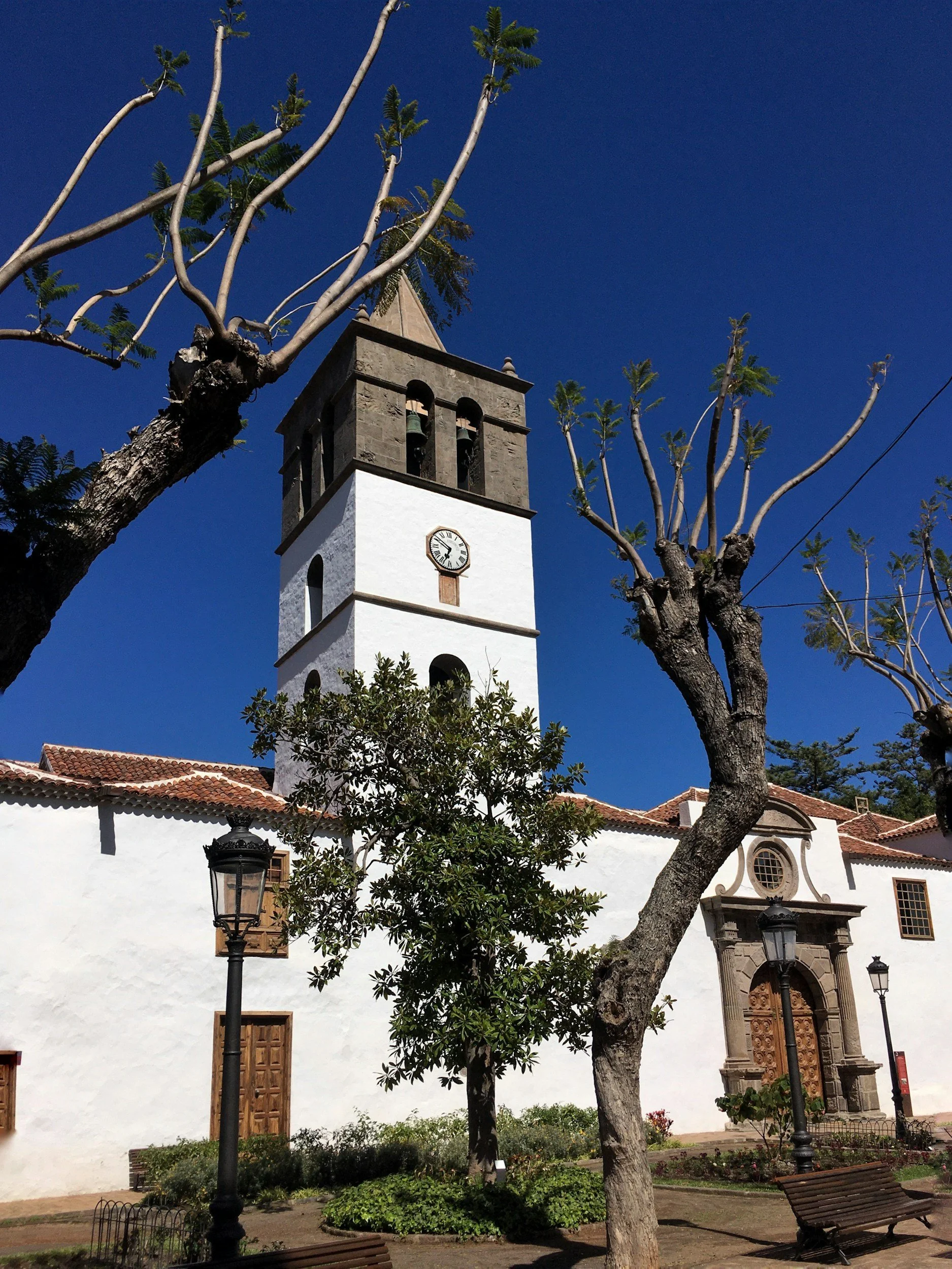 Historic white church with a clock tower, surrounded by barren trees and a blue sky.