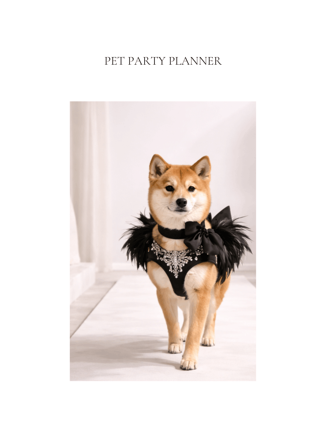 High-fashion-dog-birthday-runway-game.png