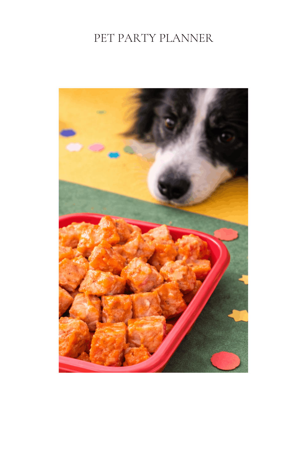 Throwback Dog Party thumbnail salmon.png