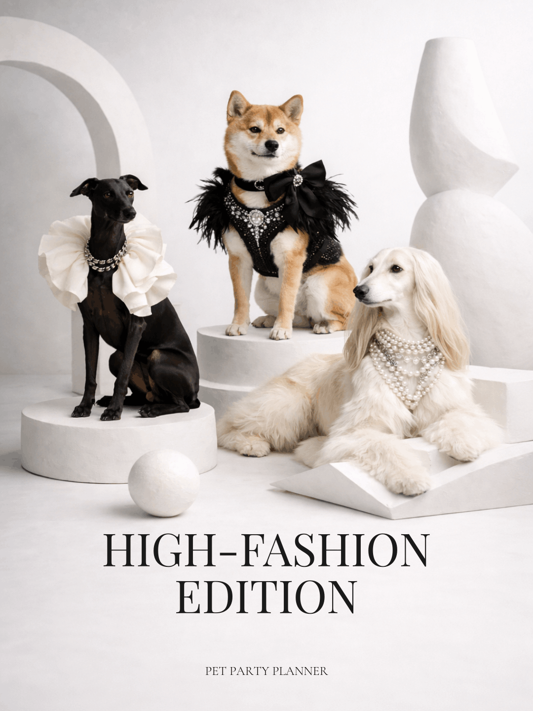 High-fashion-dog-birthday-thumbnail.png