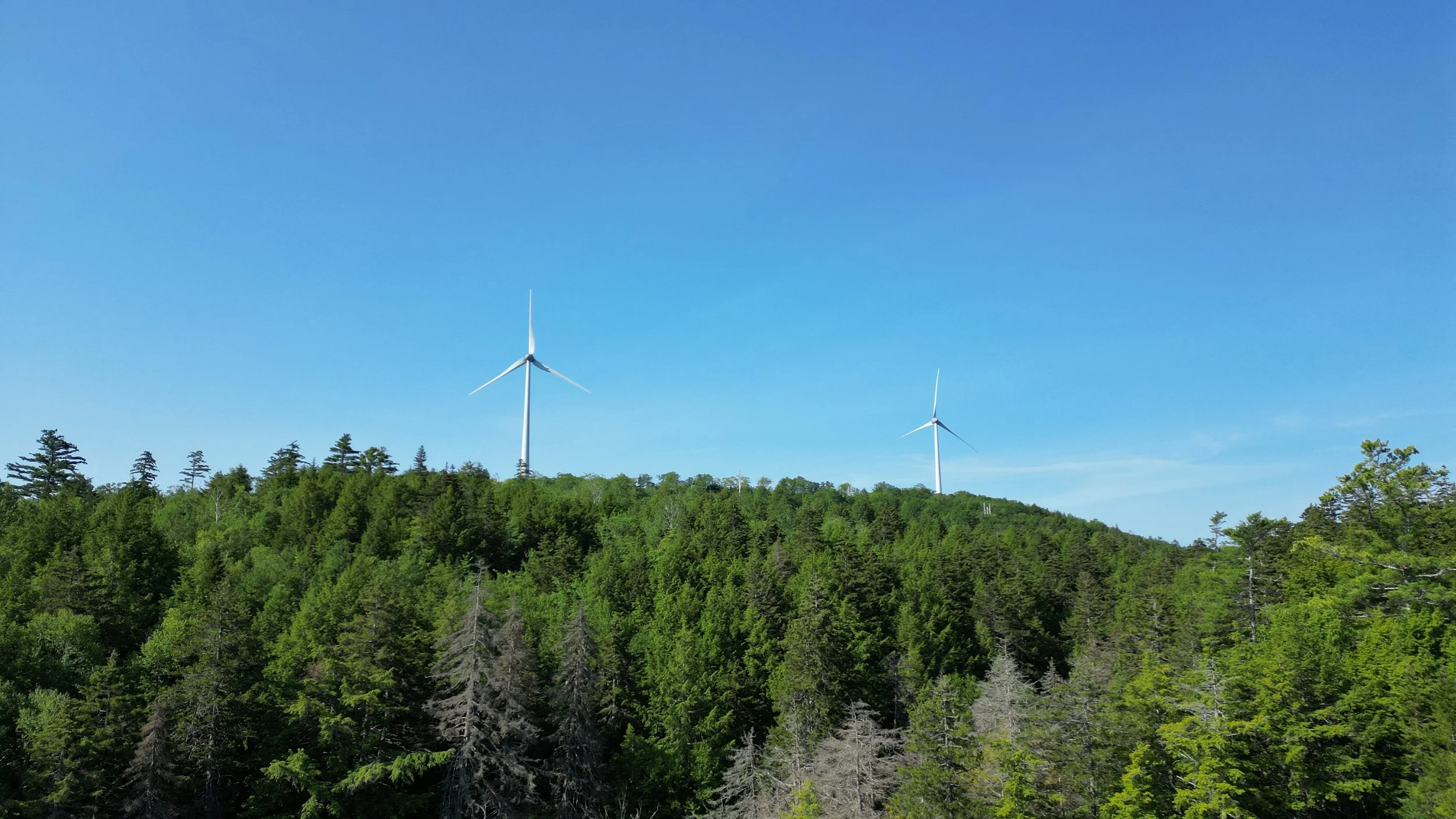 DJI_0202.JPG