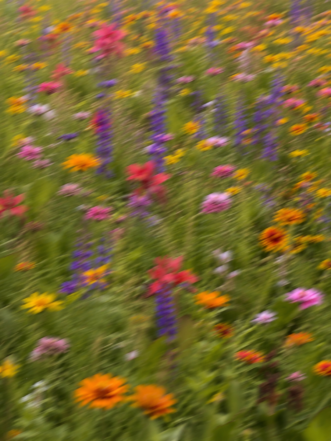 062F7206-FA8E-4234-AF27-8553EB463659.PNG