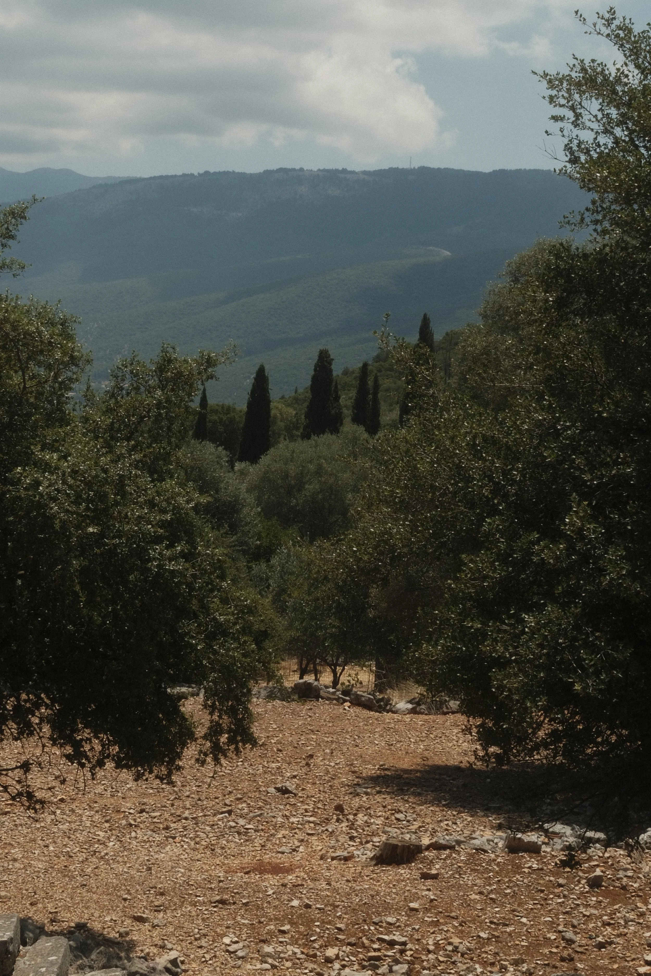 _DSF1689.JPG