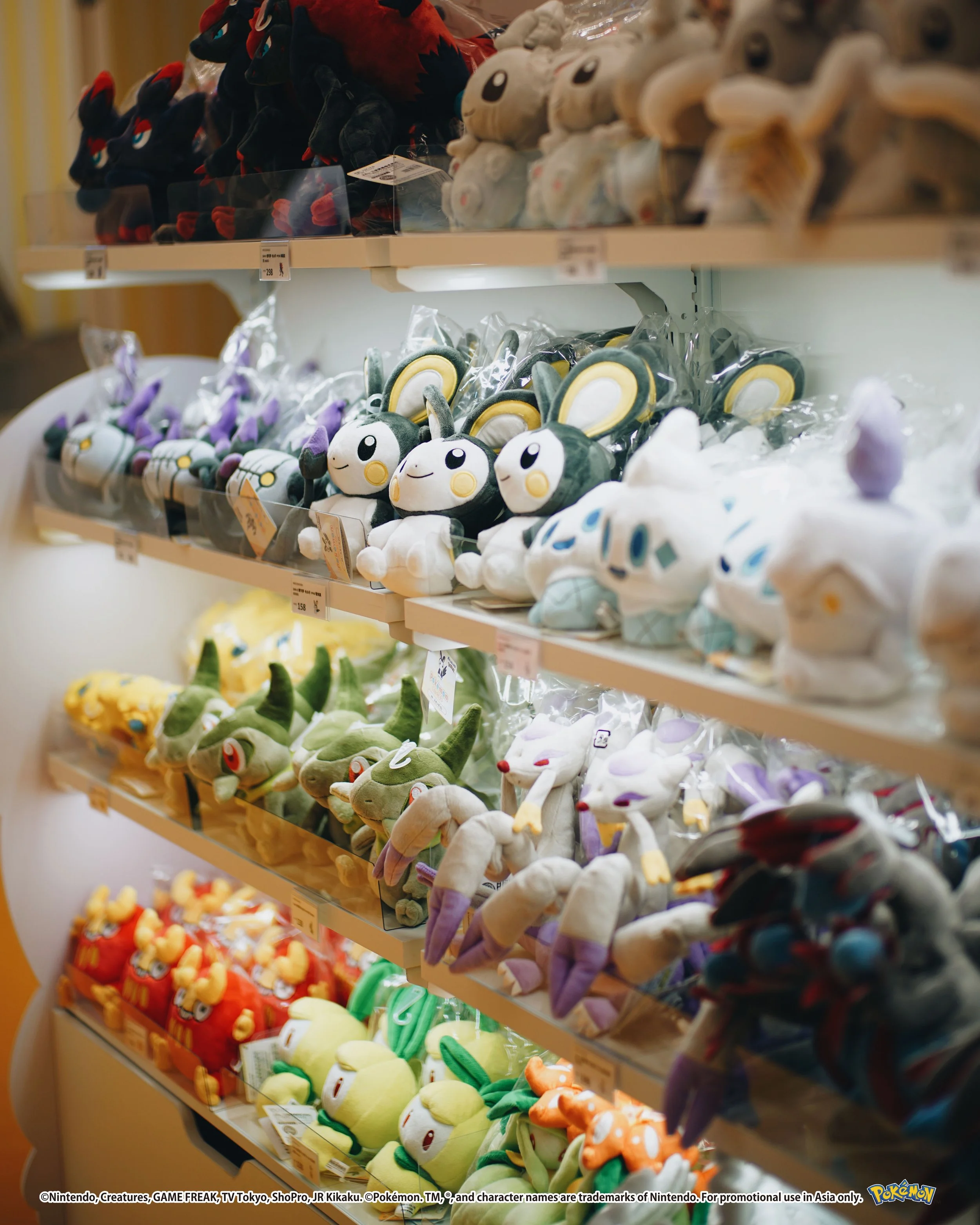 Pokemon_photos_45_Setup_0000_Vector Smart Object.jpg