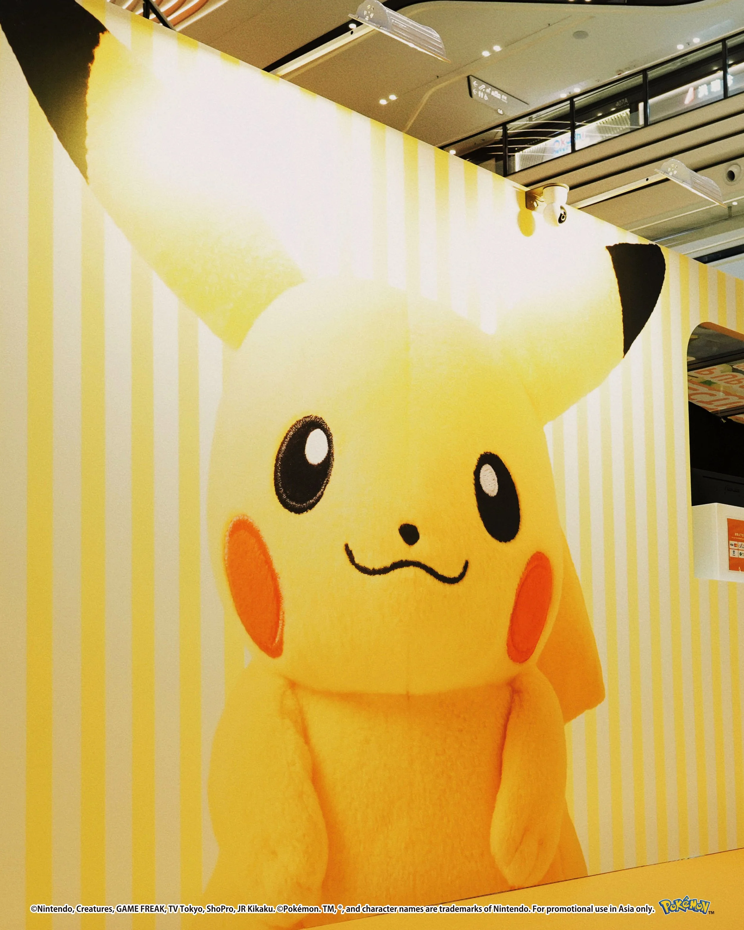 Pokemon_photos_45_Setup_0052_Vector Smart Object copy 60.jpg