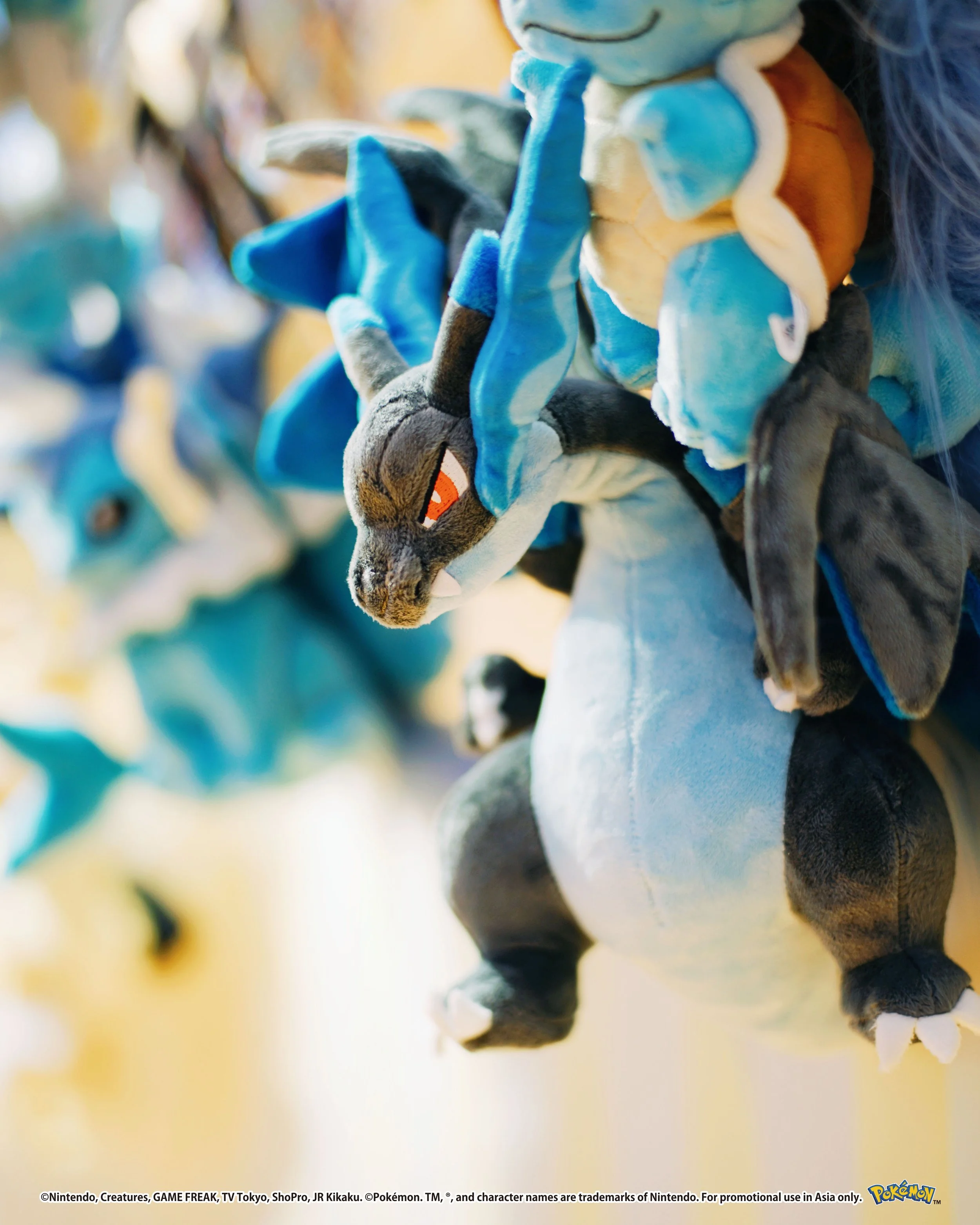 Pokemon_photos_45_Setup_0047_Vector Smart Object copy 57.jpg