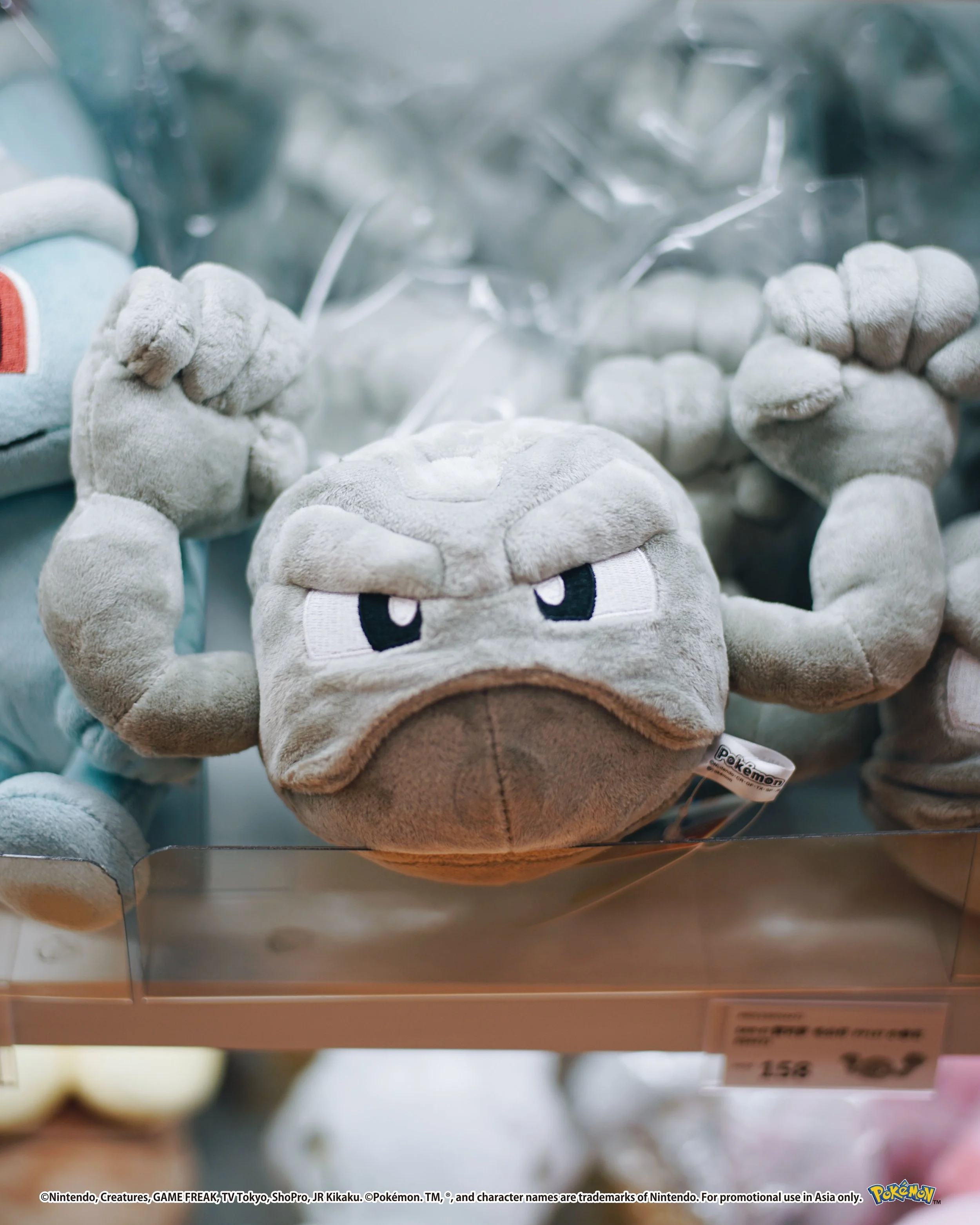 Pokemon_photos_45_0000s_0036_Vector Smart Object copy 78.jpg