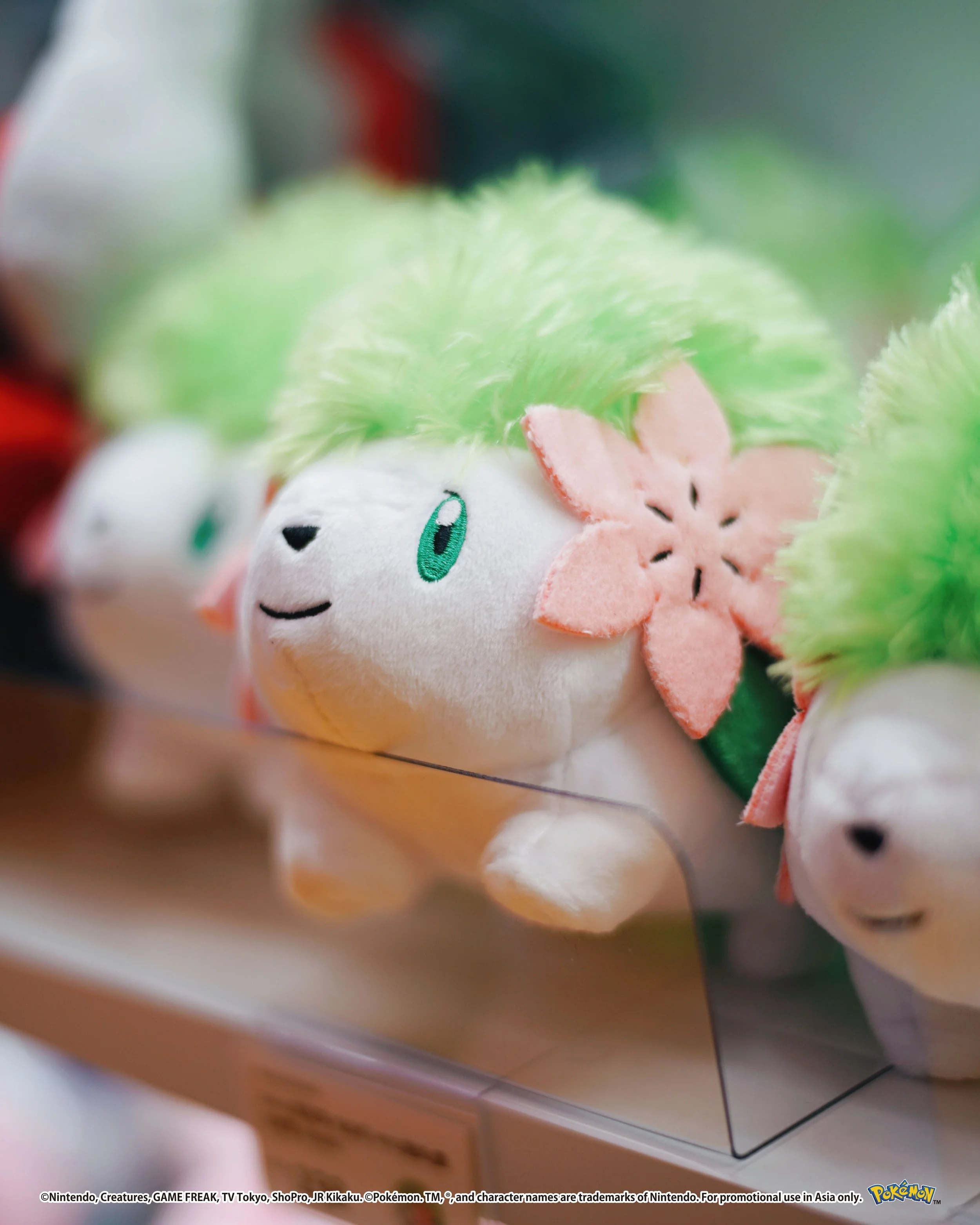 Pokemon_photos_45_0000s_0000_Vector Smart Object copy 83.jpg