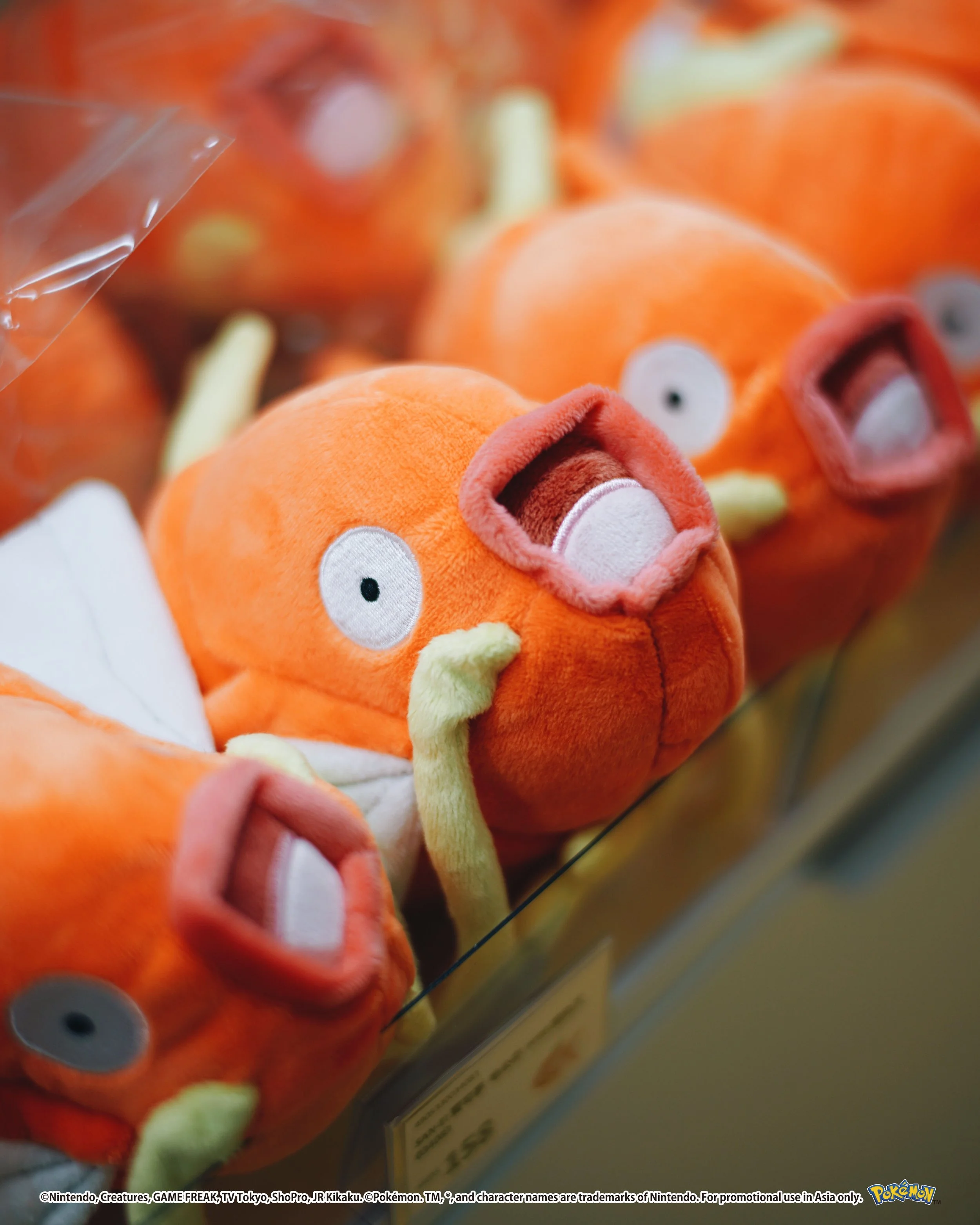 Pokemon_photos_45_0000s_0032_Vector Smart Object copy 82.jpg