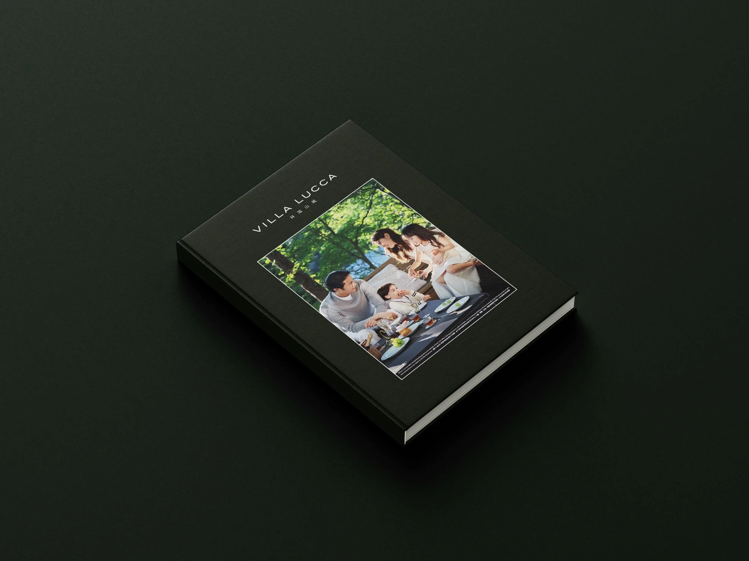 Mockup_1_BookCover.jpg