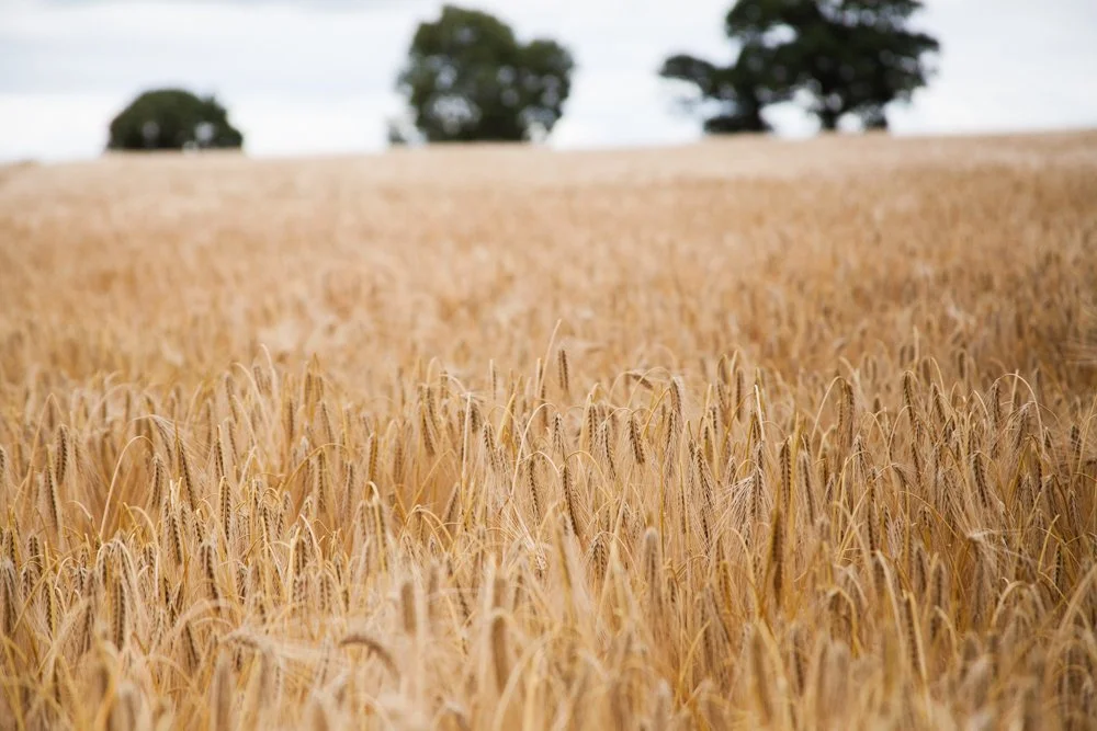 God's Own Children_STILL_005.jpg