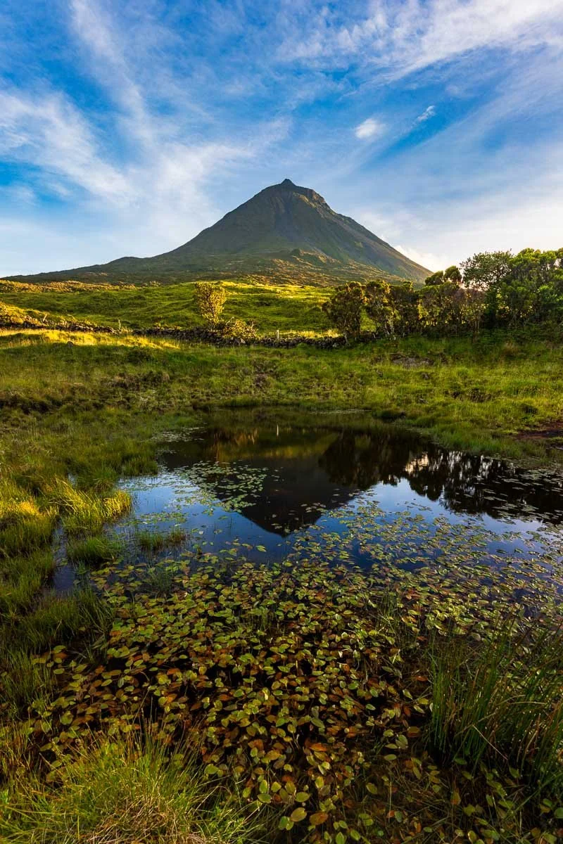 A scenic landscape featuring a conical mountain with a small body of water and lily pads in the foreground, green grass and trees, and a partly cloudy blue sky.