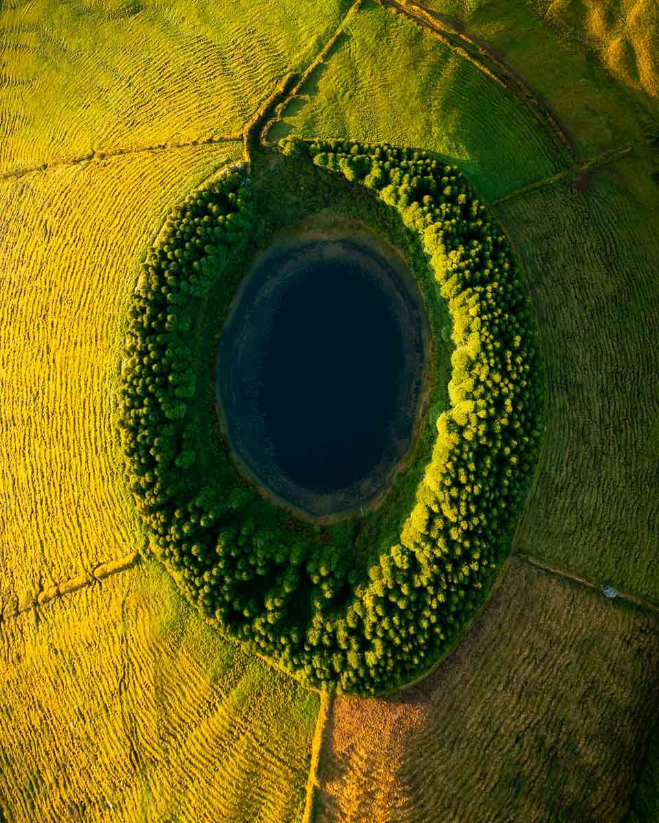Aerial view of a small lake surrounded by a forest, with yellow and green fields around it.
