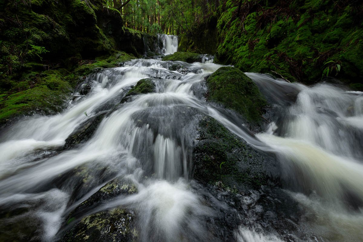 A flowing mountain stream in a dense forest, with moss-covered rocks and small waterfalls.
