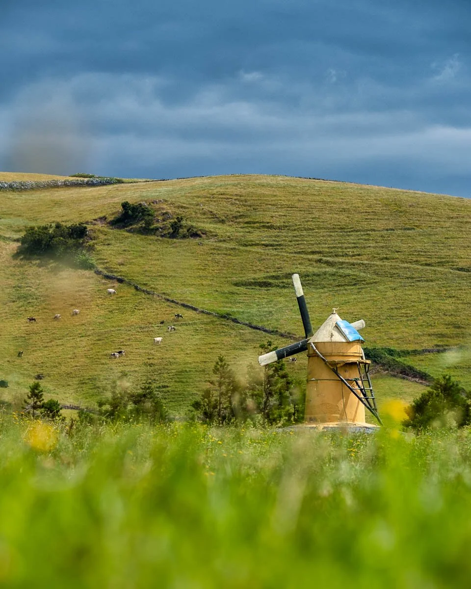 A yellow windmill with black and white blades in a grassy field, rolling green hills with sheep, and a dark cloudy sky in the background.