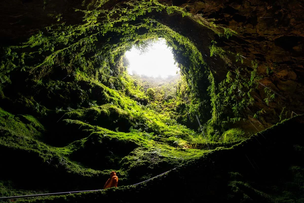 A person wearing an orange jacket walking inside a moss-covered cave with a circular opening at the top, through which bright light streams in, illuminating the lush green surroundings.