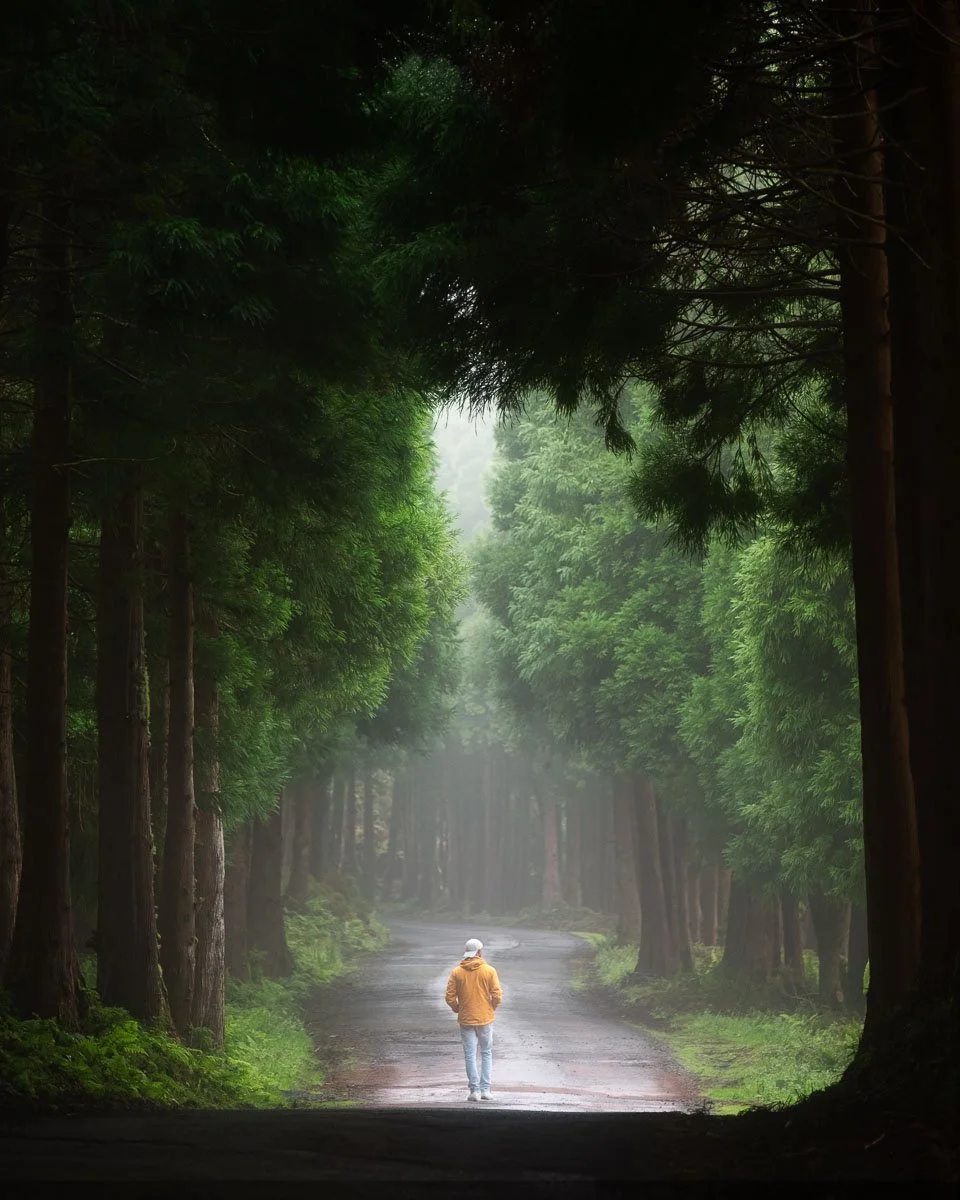 A person wearing a yellow jacket and white hat walking down a foggy forest path surrounded by tall green trees.