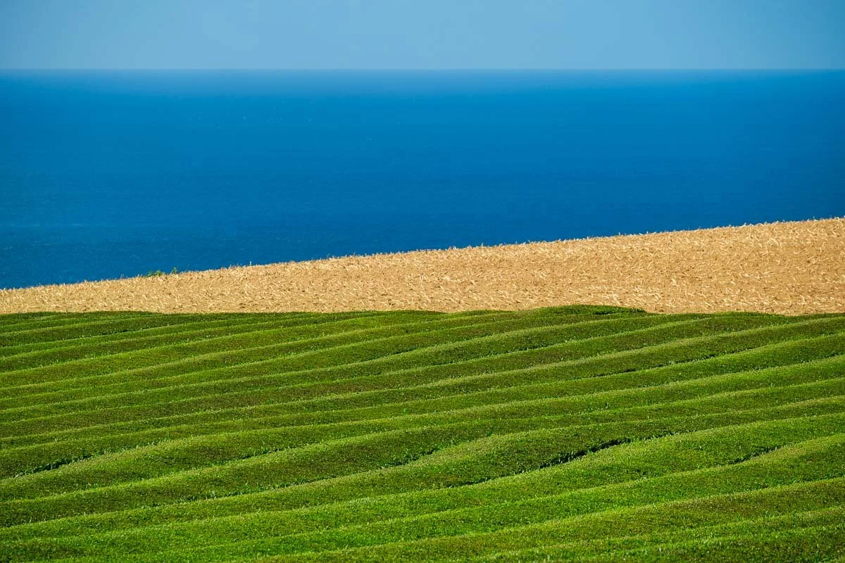 Rolling green fields in the foreground, a strip of bare farmland in the middle, and the ocean in the background under a blue sky.