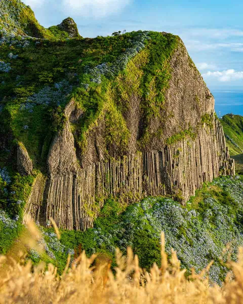 A coastal landscape featuring tall basalt columns capped by lush green vegetation, with the ocean visible in the background under a partly cloudy sky.