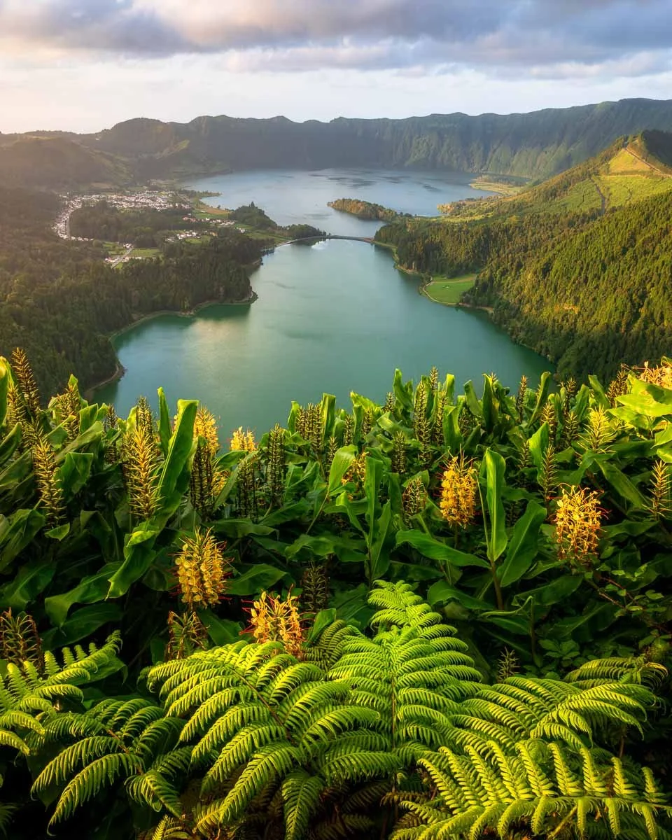 A scenic view of a lake surrounded by green mountains and lush vegetation, with a small town visible in the distance.