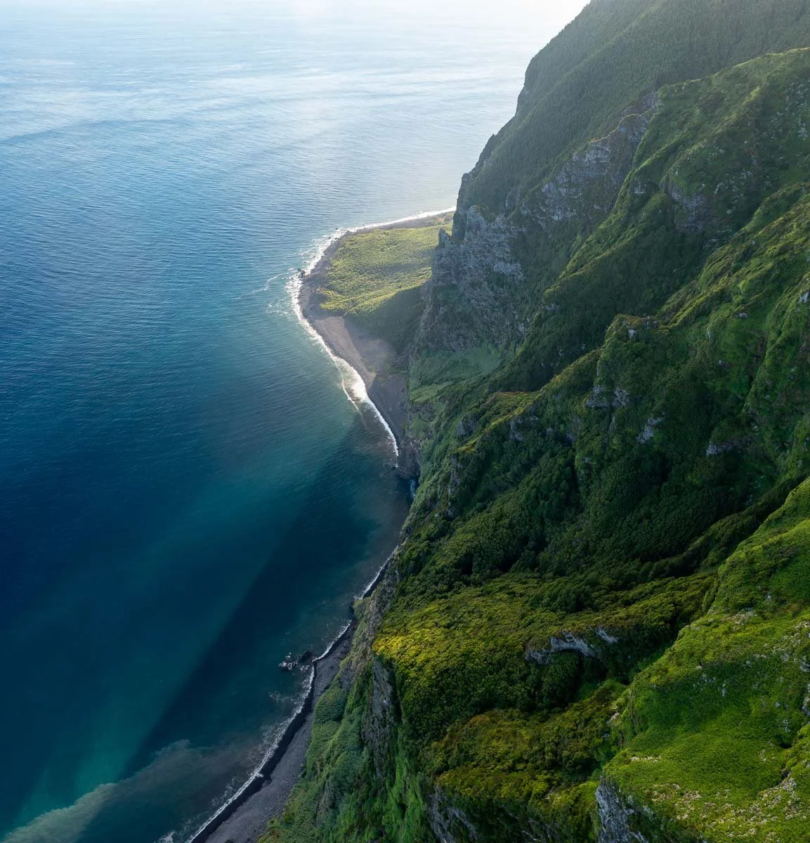 Aerial view of lush green cliffs meeting the ocean with a small beach and coastline.