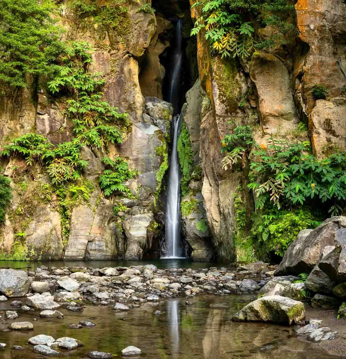 A small waterfall flows down a rocky cliff surrounded by lush green foliage into a shallow pool with rocks.